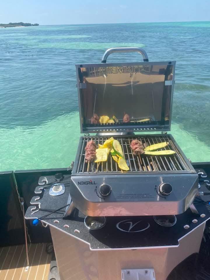 Nexgrill Tabletop 2 Burner Gas Grill, Stainless Steel with Folding Legs | Offers 28000 BTU, Locking Lid, Push & Turn Ignition, 251 Sq In Cooking Space, LP Compatibility, For Camping & Tailgating customer photo 2