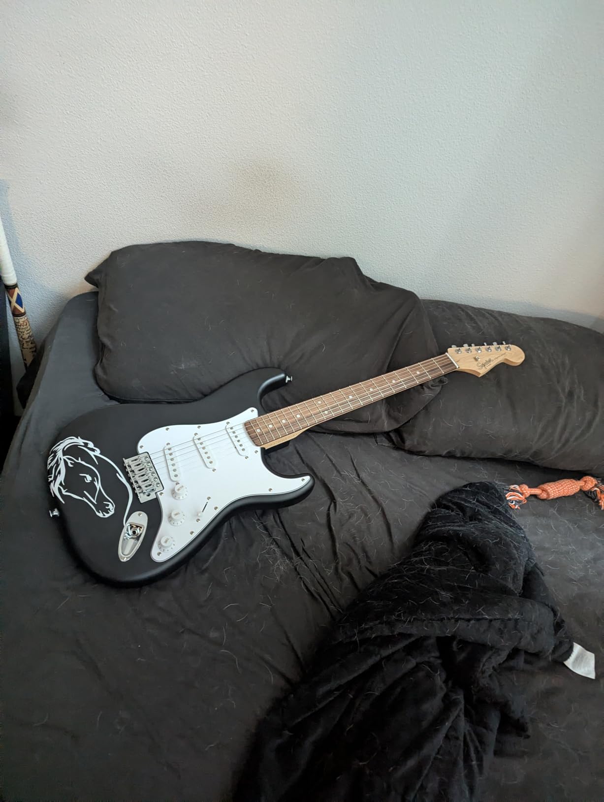 Fender Squier Debut Series Stratocaster Electric Guitar, Beginner Guitar, with 2-Year Warranty, Includes Free Lessons, Black with Matte Finish customer photo 2