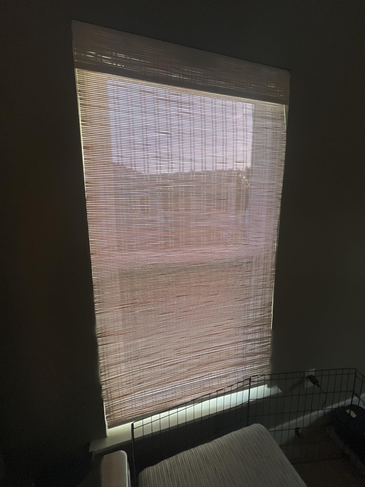 LazBlinds No Drill Bamboo Roman Shades, 34x64, Ceylon Light Russet | Light Filtering Window Treatment, No Tools Cordless Roll Up Bamboo Blinds for Window customer photo 2
