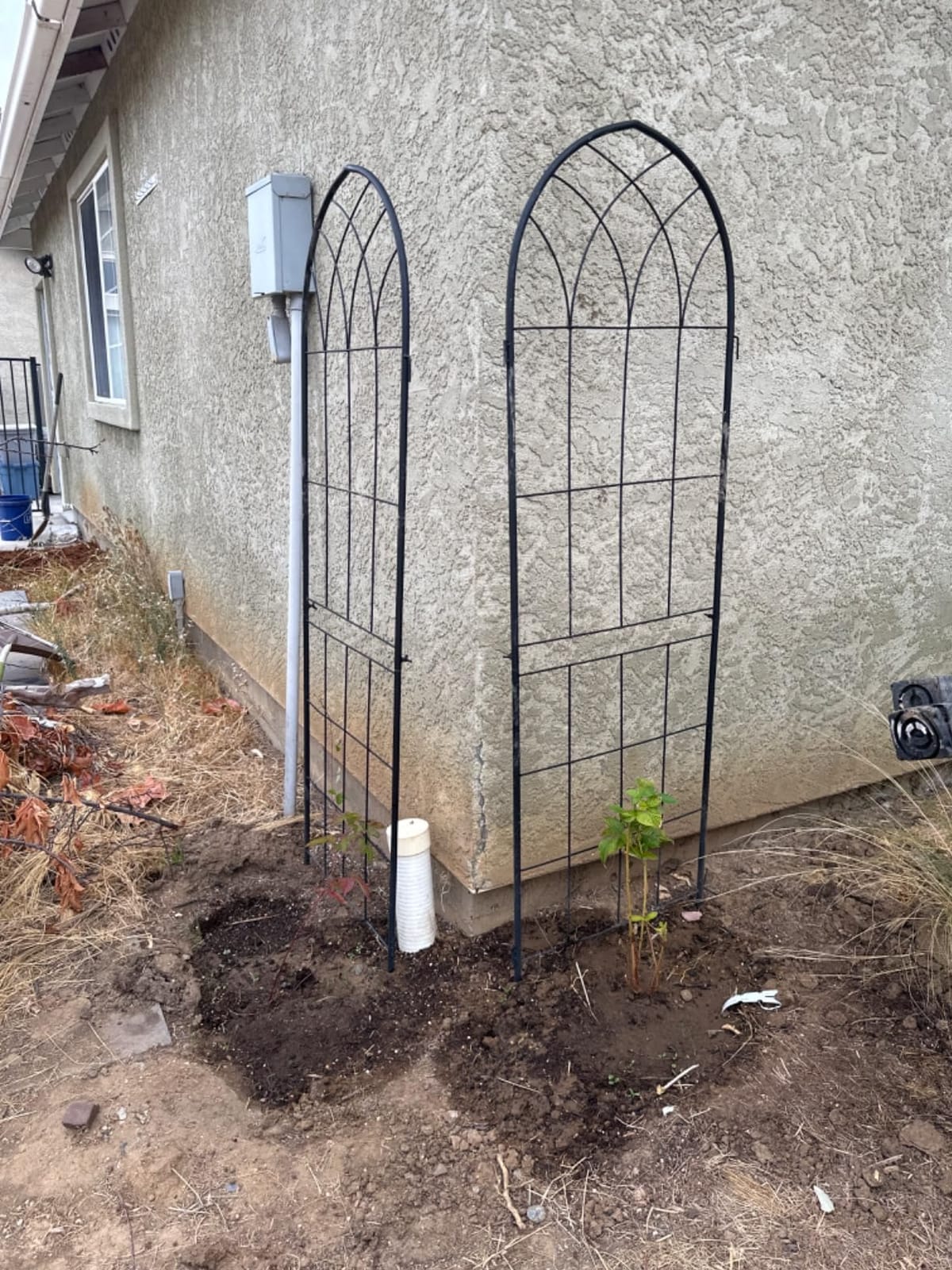 LZRS 2 Pack 71x20in Rustic Iron Arch Decoration Garden Trellis with Black Metal Coating customer photo 1