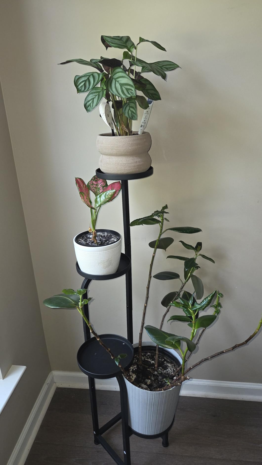Bamworld Tall Plant Stand Indoor Outdoor Corner Metal Flower Pot Stands | 4 Tier Heavy Duty Plant Shelf for Multiple Plants Plant Table for Patio Garden Balcony Living Room Bedroom (Patent Design) customer photo 1