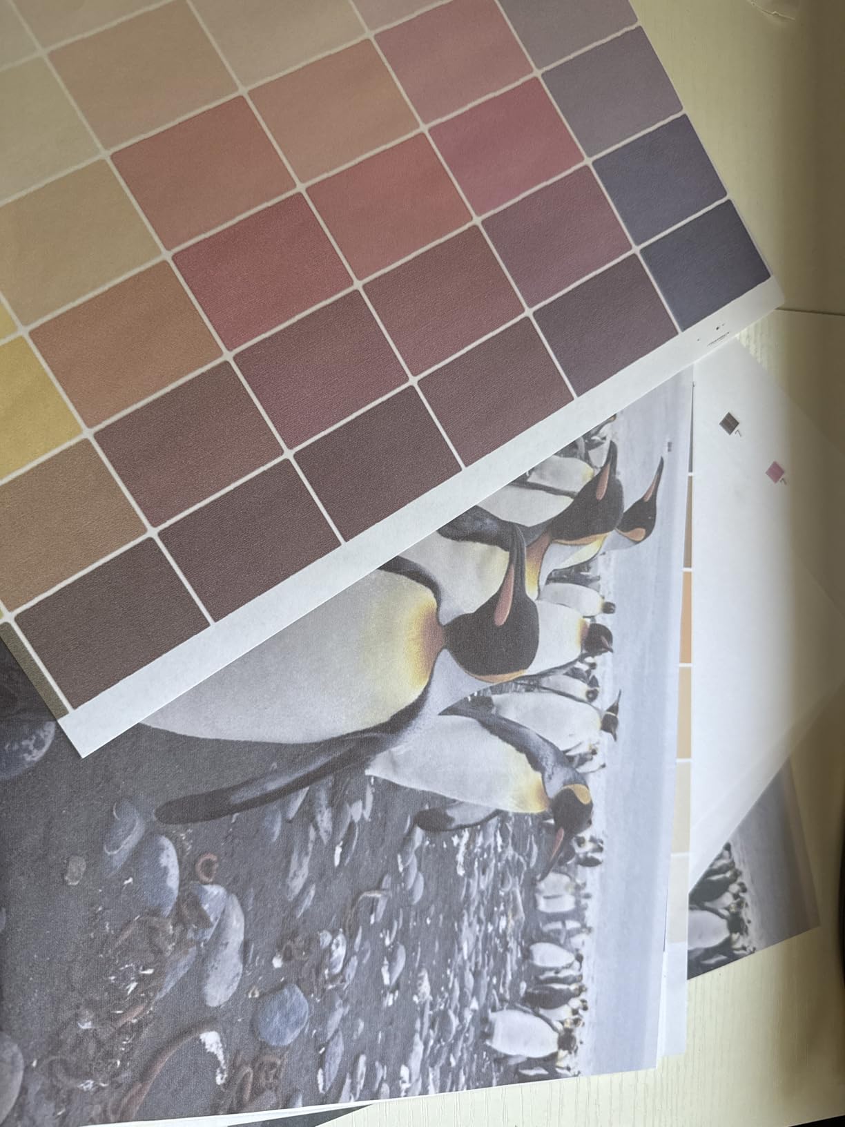 Pinckney Cartridge-Free Super-Tank Printer with Sublimation Ink Bundle for Heat Transfers, Printing up to 13 x 19 Inches (Wide Format) customer photo 2