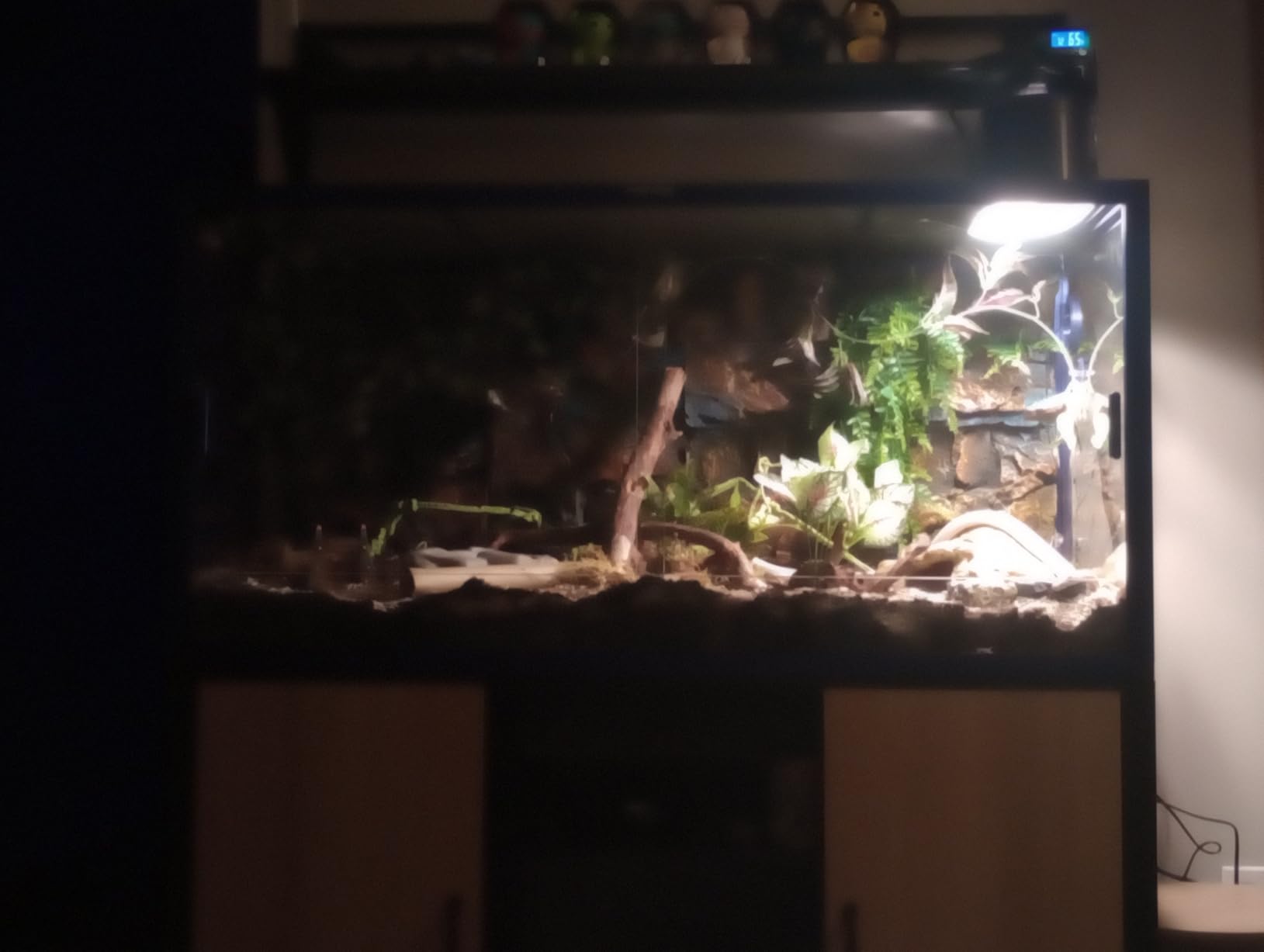Phailozoo 120 Gallon Reptile Tank, Stackable 4x2x2 Reptile Enclosure | Reptile Tank with Front Sliding Tempered Glass Doors, Optimal Ventilation & Light Penetration by Rust Proof Mesh Top customer photo 1