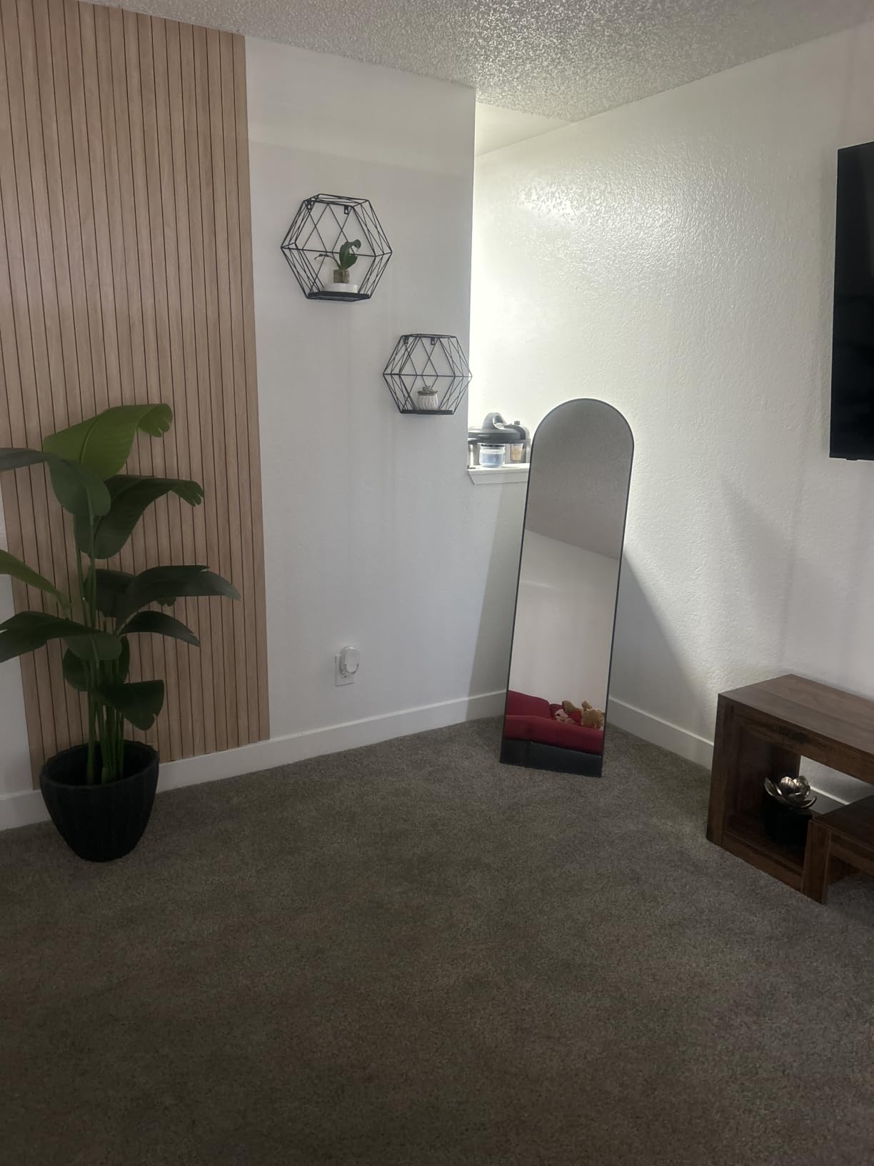 Delma Arched Full Length Mirror with Stand, Black Floor Mirror | Aluminium alloy frame with HD float glass for distortion-free reflection. Free standing or wall mounted. customer photo 1
