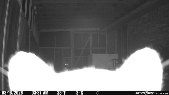 SPYPOINT Flex-M Twin Pack Cellular Trail Cameras - Best Hunting Accessories, No WiFi Needed, GPS, Night Vision, Dual-Sim LTE, IP65 Water-Resistant Game Camera, 28MP Photos, 720p Videos + Sound (2) customer photo 2