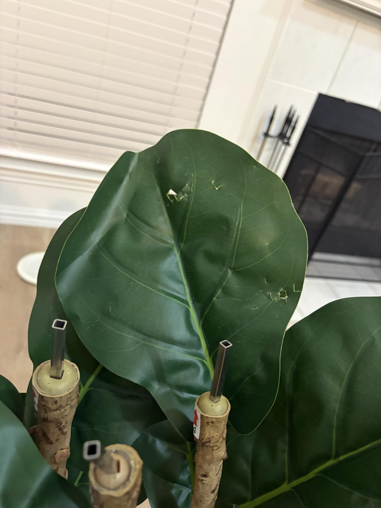 Artificial Fiddle Leaf Fig Tree with White Planter, 5ft Tall Fake Tree with Natural Wood Trunk for Home Decor, Faux Ficus Tree Fake Moss for Indoor Office Living Room customer photo 1