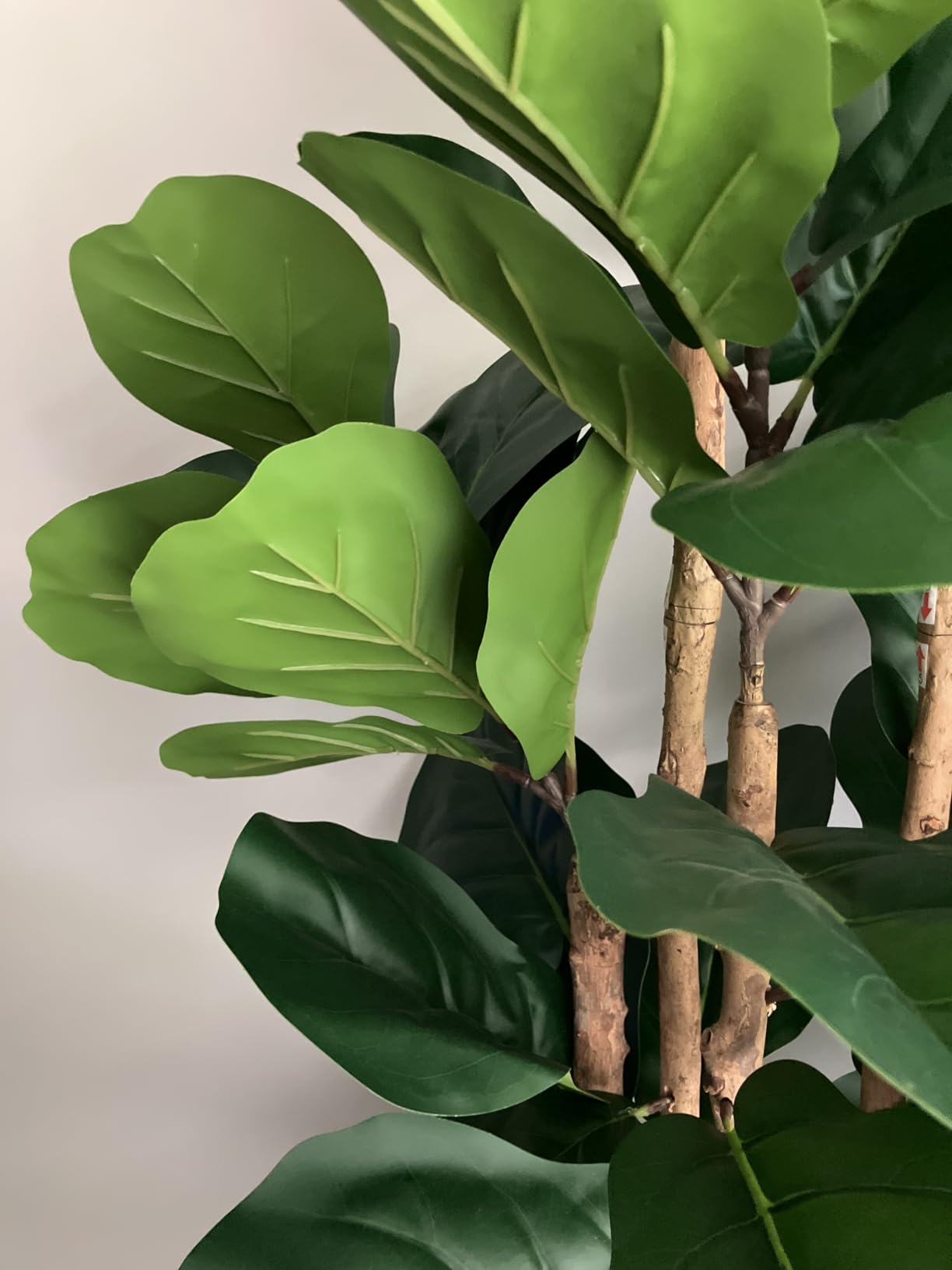 Artificial Fiddle Leaf Fig Tree with White Planter, 5ft Tall Fake Tree with Natural Wood Trunk for Home Decor, Faux Ficus Tree Fake Moss for Indoor Office Living Room customer photo 2