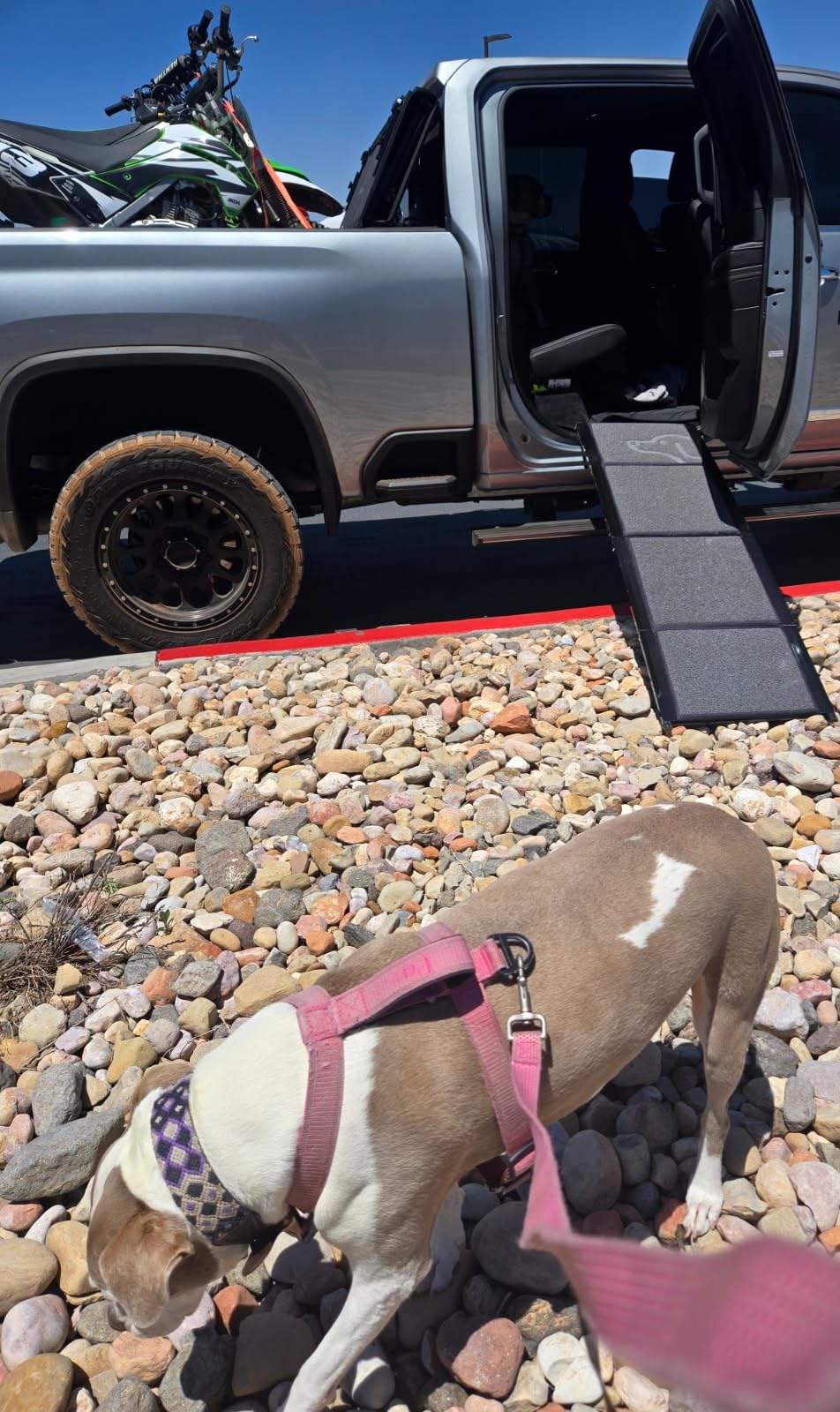 PetThem Dog Ramp for Cars, 71