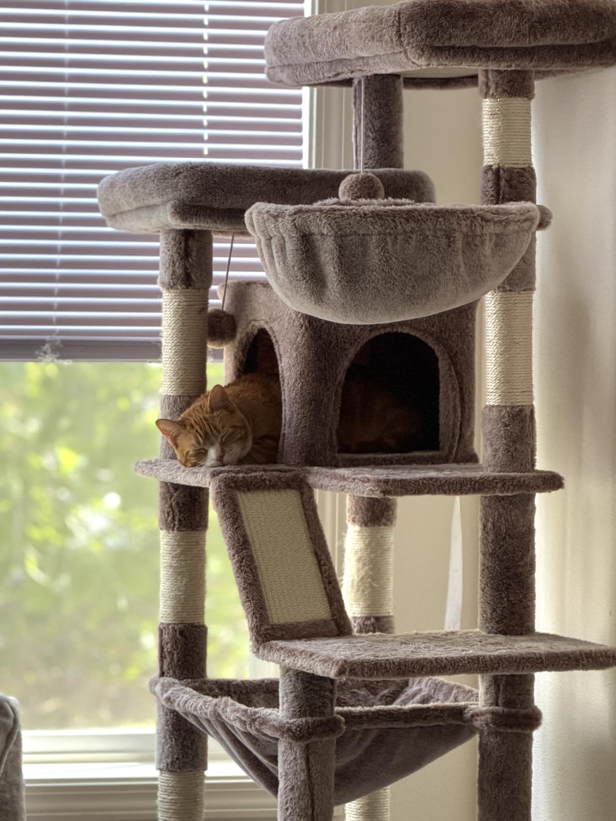 Heybly Cat Tree, 71-Inch-Tall Tower for Indoor Cats with 2 Perches HCT034G | Large Cat Furniture with 2 Big Condos, 2 Hammocks, Basket, Scratching Pad, Multi-Level Cat Condo, Smoky Gray customer photo 1