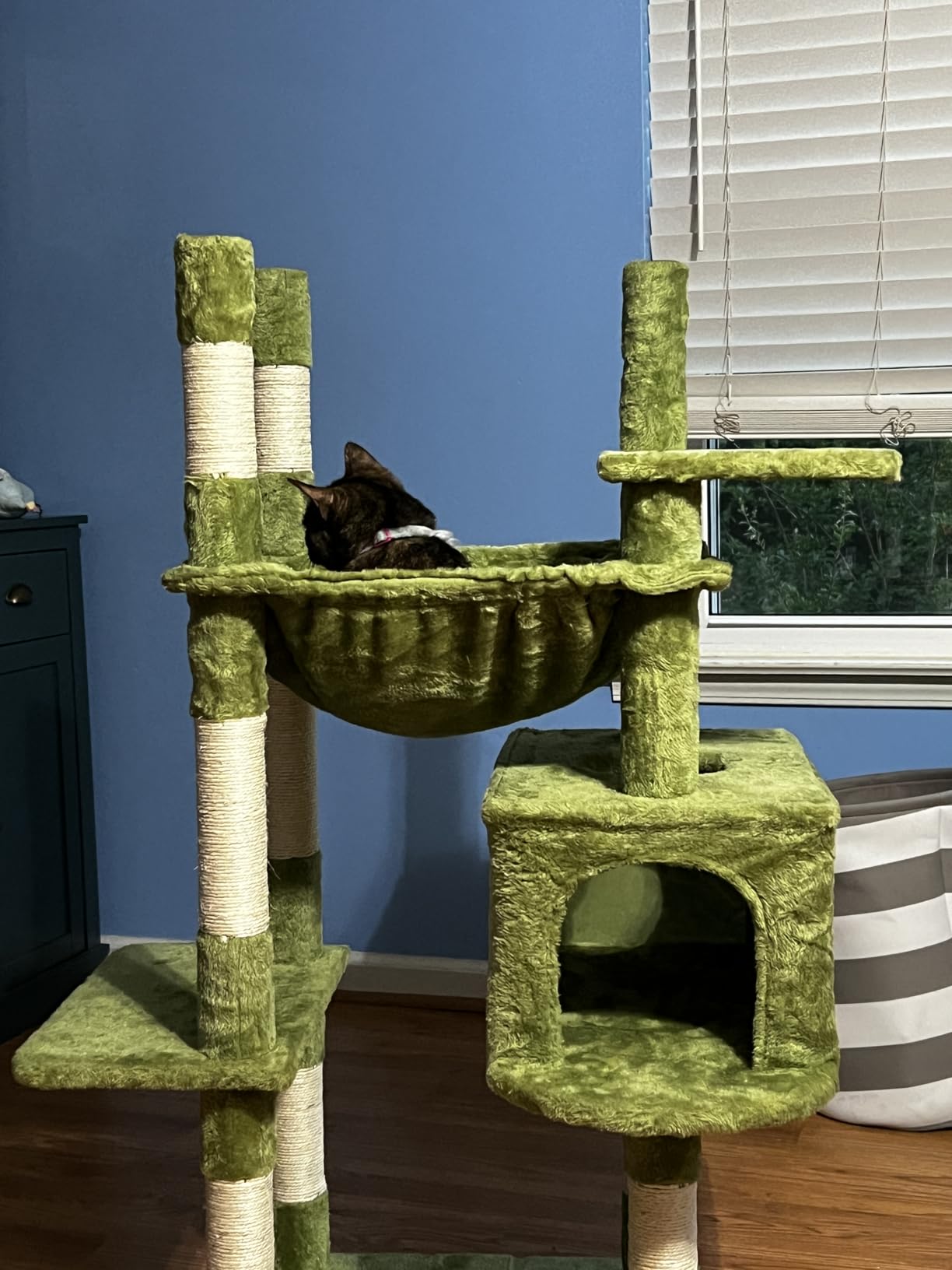 Heybly Cat Tree, 71-Inch-Tall Tower for Indoor Cats with 2 Perches HCT034G | Large Cat Furniture with 2 Big Condos, 2 Hammocks, Basket, Scratching Pad, Multi-Level Cat Condo, Smoky Gray customer photo 2