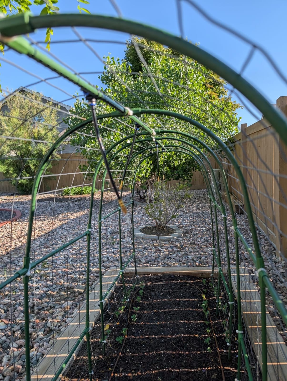 Cucumber Trellis for Raised Bed, U-Shape Garden Trellis for Climbing Plants Outdoor, Metal Arch Vegetables Trellis, Plant Support for Vine (Green, 47.2x47.2 X21.6) customer photo 1