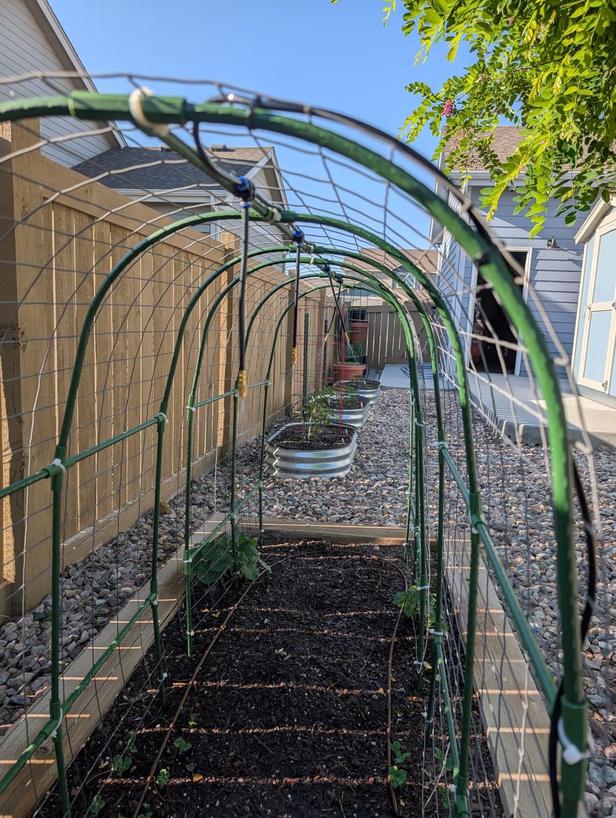 Cucumber Trellis for Raised Bed, U-Shape Garden Trellis for Climbing Plants Outdoor, Metal Arch Vegetables Trellis, Plant Support for Vine (Green, 47.2x47.2 X21.6) customer photo 2