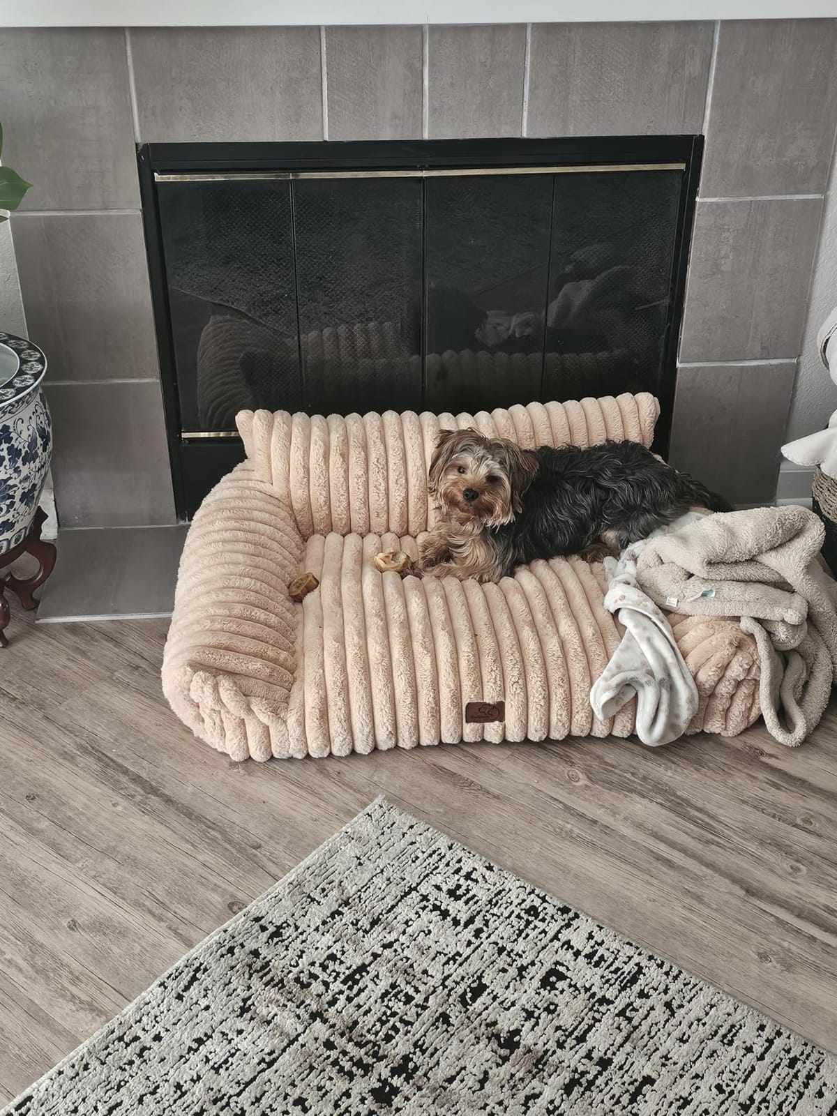 Bedsure ComfyFleece Fluffy Cute Cat Couch for Pets, 24in Cream | Cat Beds for Indoor Cats, Supportive Pet Sofa, Removable Washable Cover, Up to 10 Lbs customer photo 2