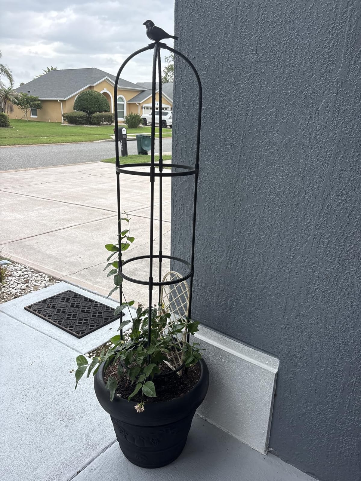 FOLLOOK Garden Obelisk Trellis for Climbing Plants Outdoor, 2 Pack | 67 Inch Lightweight Round Plant Support for Roses Clematis Cucumber Vines Raised Garden Bed Planter, Black customer photo 1