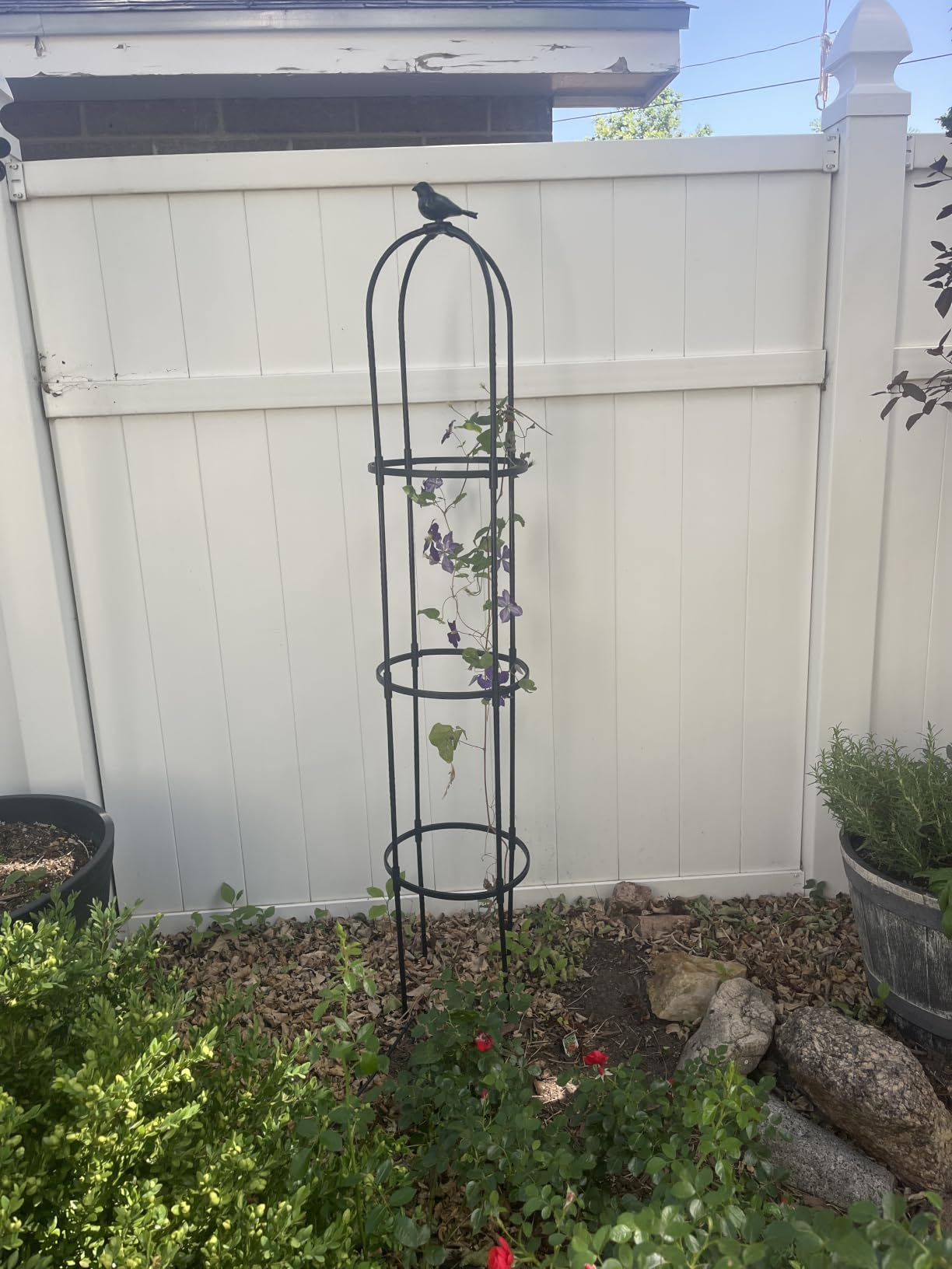 FOLLOOK Garden Obelisk Trellis for Climbing Plants Outdoor, 2 Pack | 67 Inch Lightweight Round Plant Support for Roses Clematis Cucumber Vines Raised Garden Bed Planter, Black customer photo 2