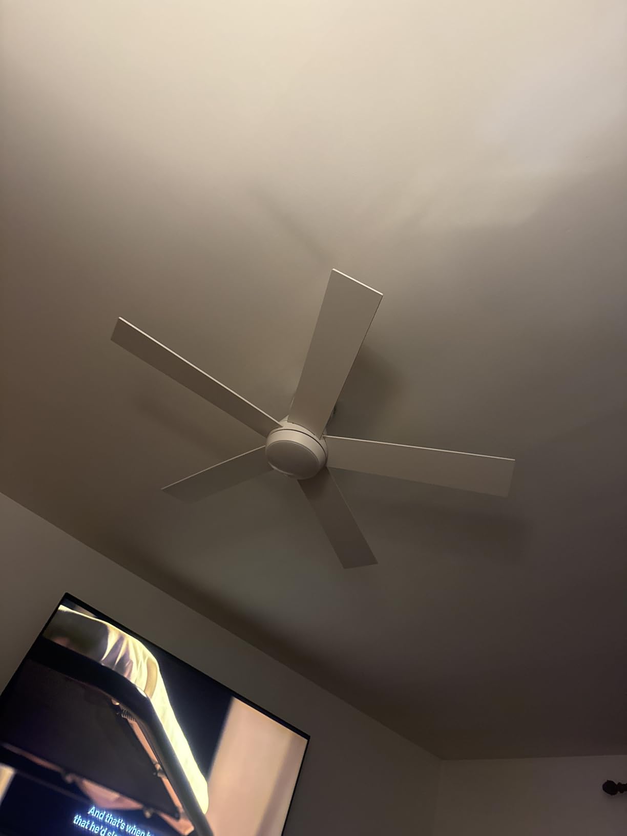 TCL 52