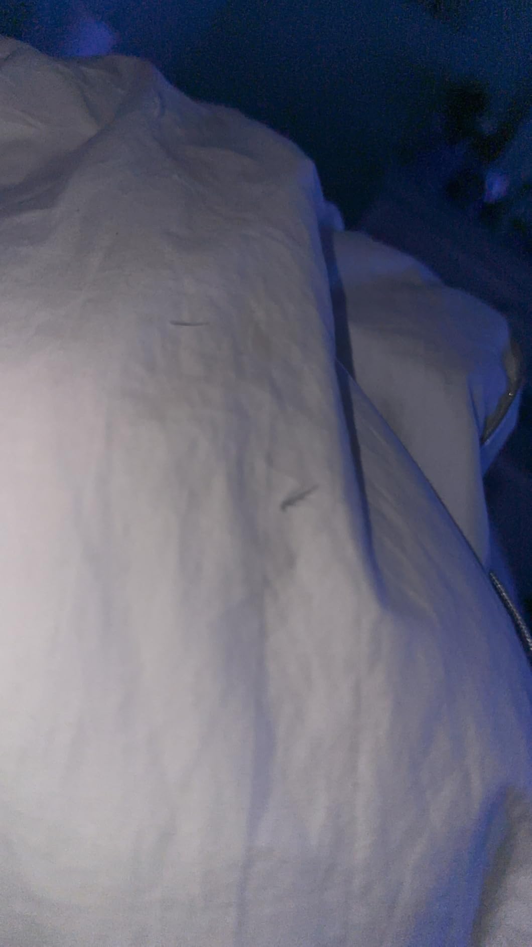 Fluffy Feather Down Comforter Queen Size, Egyptian Cotton White | Luxury Hotel Collection, All Season Medium Warm Duvet Insert, Soft Puffy Plush Washable, With Corner Ties, 90x90 In customer photo 2