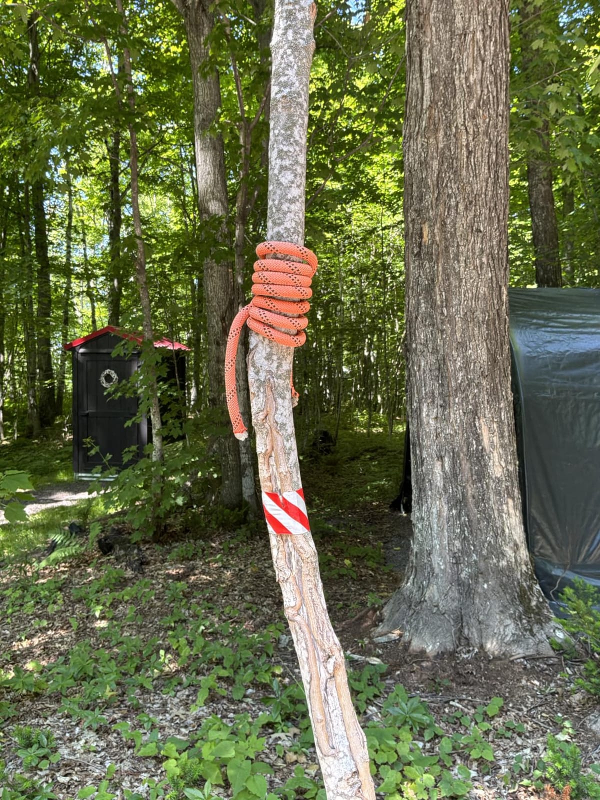 VEVOR Double Braided Polyester Rope, 1/2 in x 120 ft, 48 Strands, 8000 LBS Breaking Strength Outdoor Climbing Rope, Arborist Rigging Rope for Rock Hiking Camping Swing Rappelling Rescue, Orange/Black customer photo 1