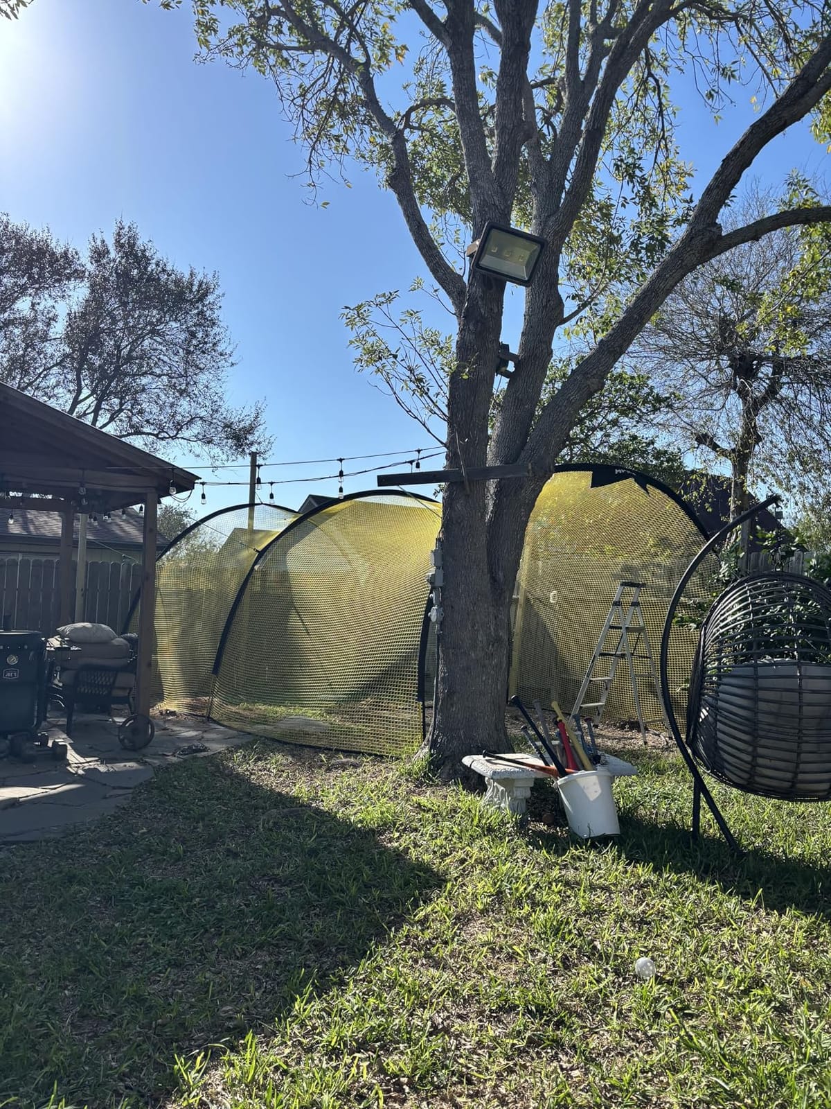 Apex Sports Portable 22ft x 12ft x 8ft Baseball & Softball Batting Cage with Pitching Machine Hole, 3ply 1.25'' Yellow Netting, Secure Steel Poles, 12.7MM Fibreglass Poles, Carry Bag Included customer photo 1