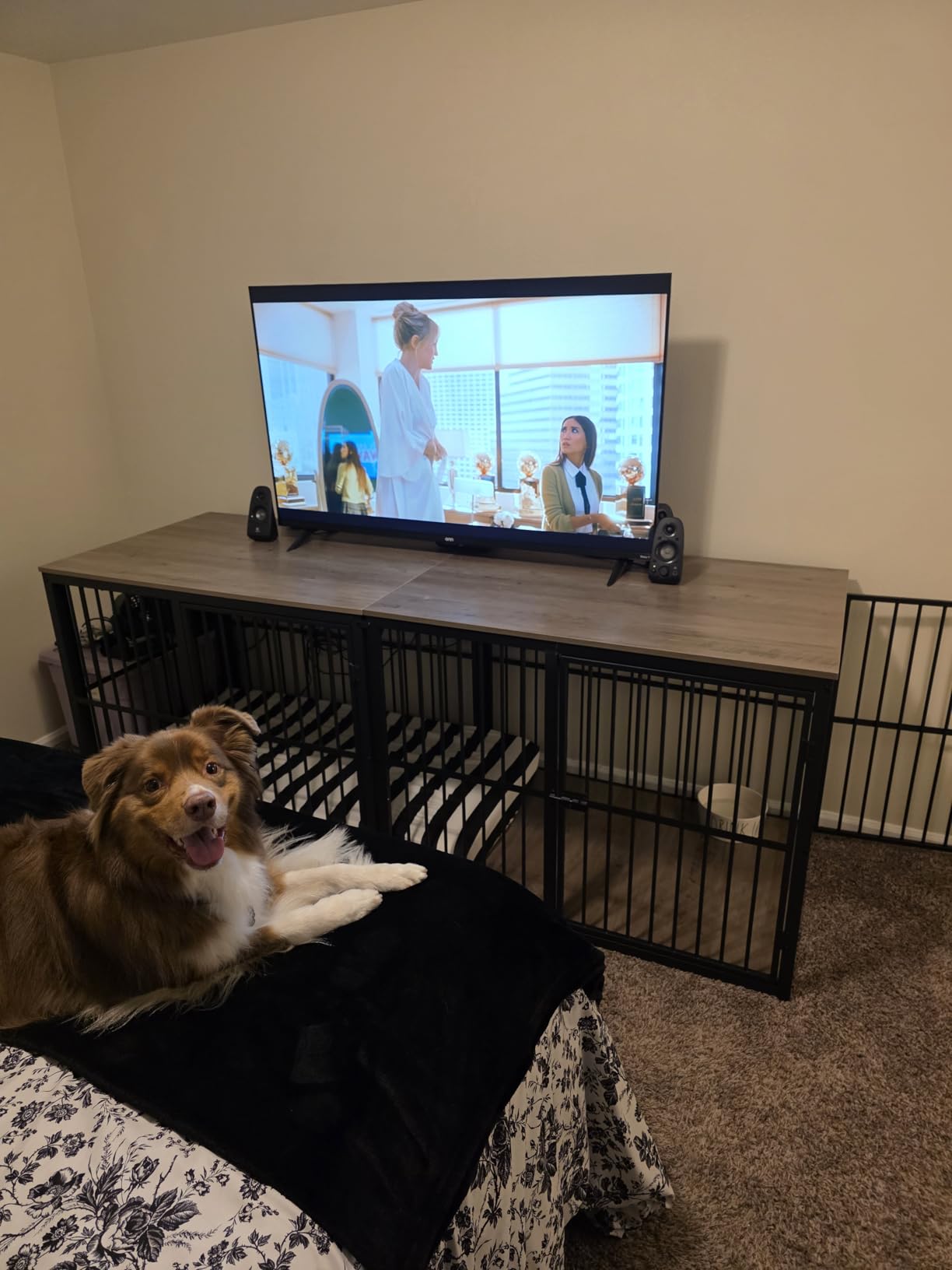 Lyromix 48'' XXL Dog Crate Furniture with 3 Doors for Large Dogs, Wooden Kennel End Table customer photo 1