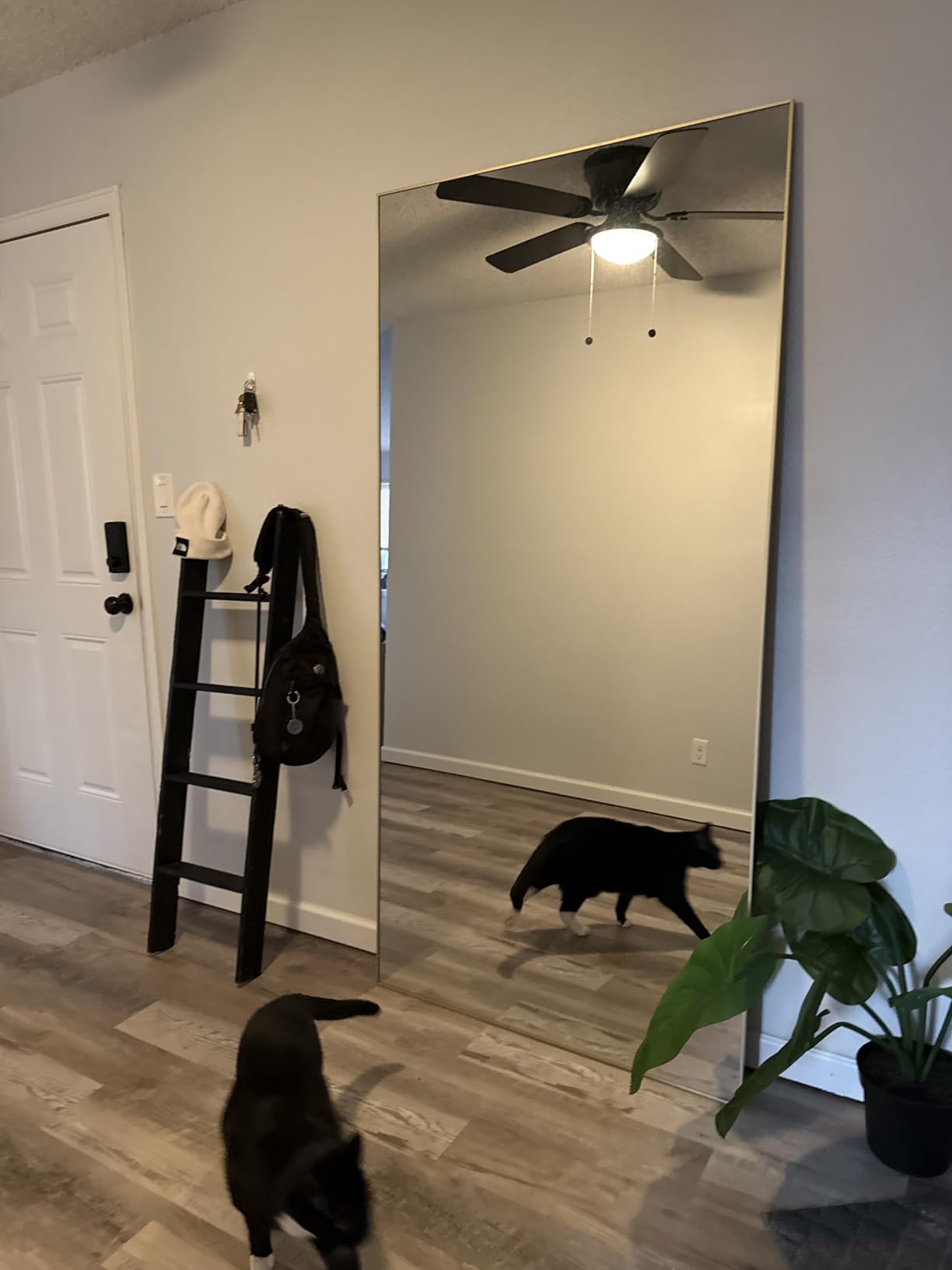 BEAUTYPEAK Full Length Mirror with Stand, 56