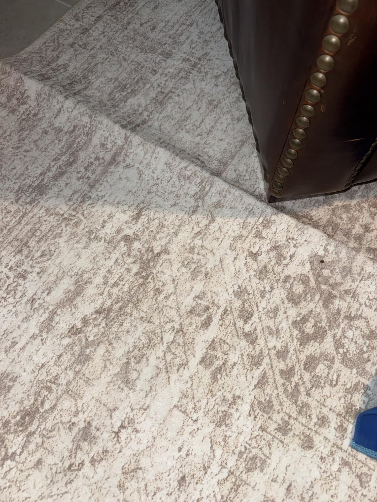 Soalmost 9x12 Area Rugs for Living Room Washable Rug Non-Slip Beige | Large Vintage Stain Resistant Carpet for Dining Bedroom, Low Pile Lightweight Foldable Floor Mat Nursery Home Office Decor customer photo 1