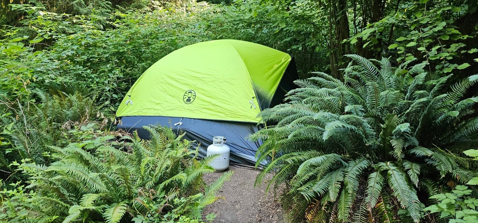 Coleman Sundome Dark Room 4/6 Person Tent, Blocks 90% of Sunlight to Keep Inside Cool, Weatherproof Tent with Rainfly Sets Up in Minutes customer photo 1