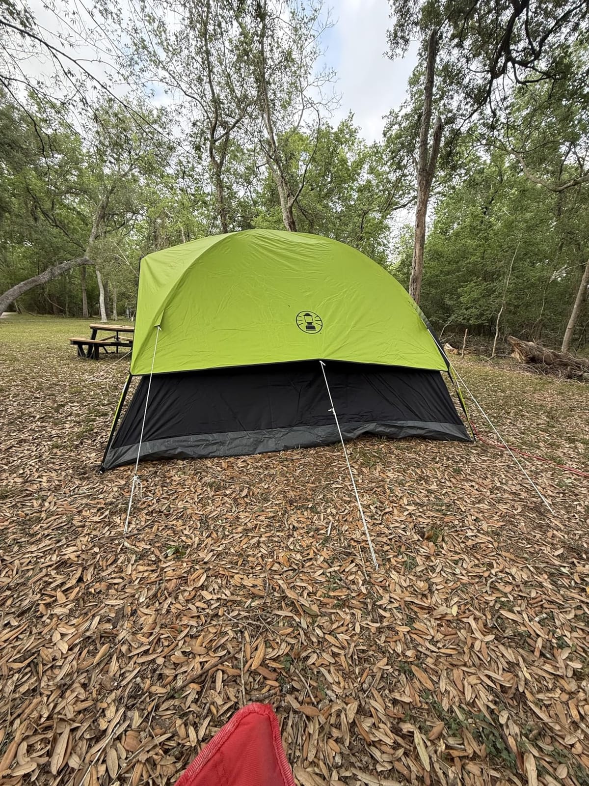 Coleman Sundome Dark Room 4/6 Person Tent, Blocks 90% of Sunlight to Keep Inside Cool, Weatherproof Tent with Rainfly Sets Up in Minutes customer photo 2