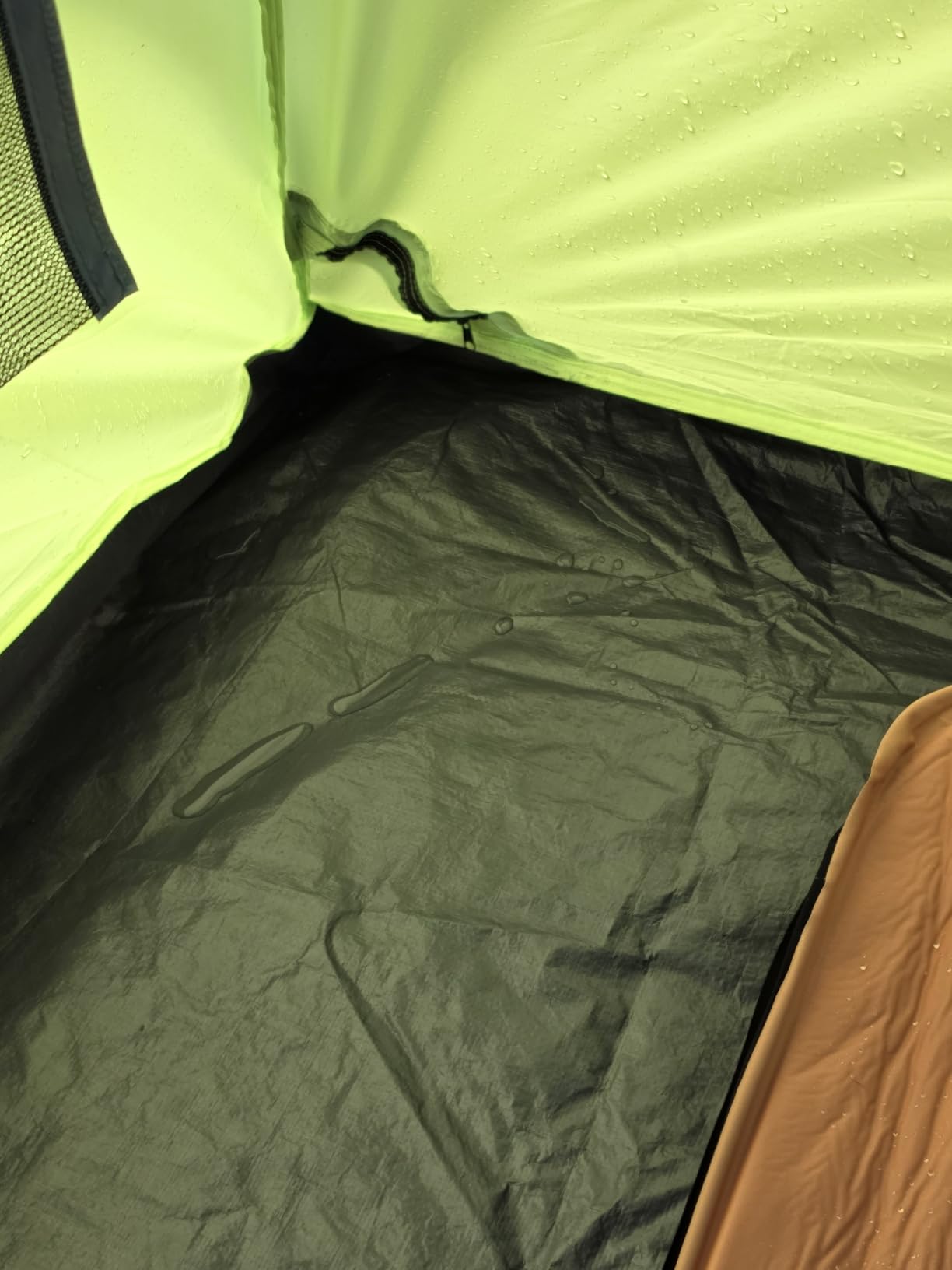 Coleman Skydome Camping Tent with Screened Porch & 5-Minute Setup, Weatherproof 4/6/8 Person Tent with Rainfly & Carry Bag, Made of PFAS-Free Materials customer photo 1