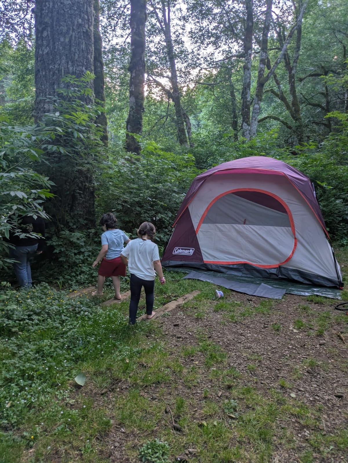 Coleman Skydome Camping Tent with 5 Minute Setup, 2/4/6/8 Person Weatherproof Tent with Rainfly & Carry Bag, 20% More Headroom Than Traditional Canopies customer photo 2