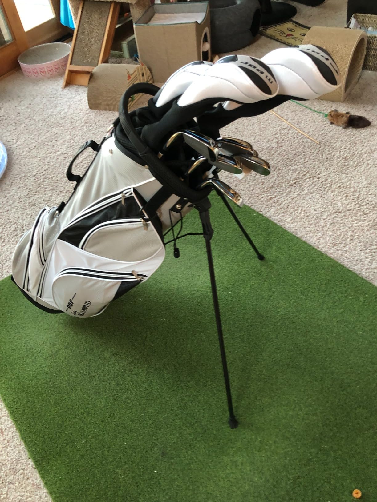 PGF Lady Diamond S5 Women's Complete Golf Club Set [14-Pieces] customer photo 2