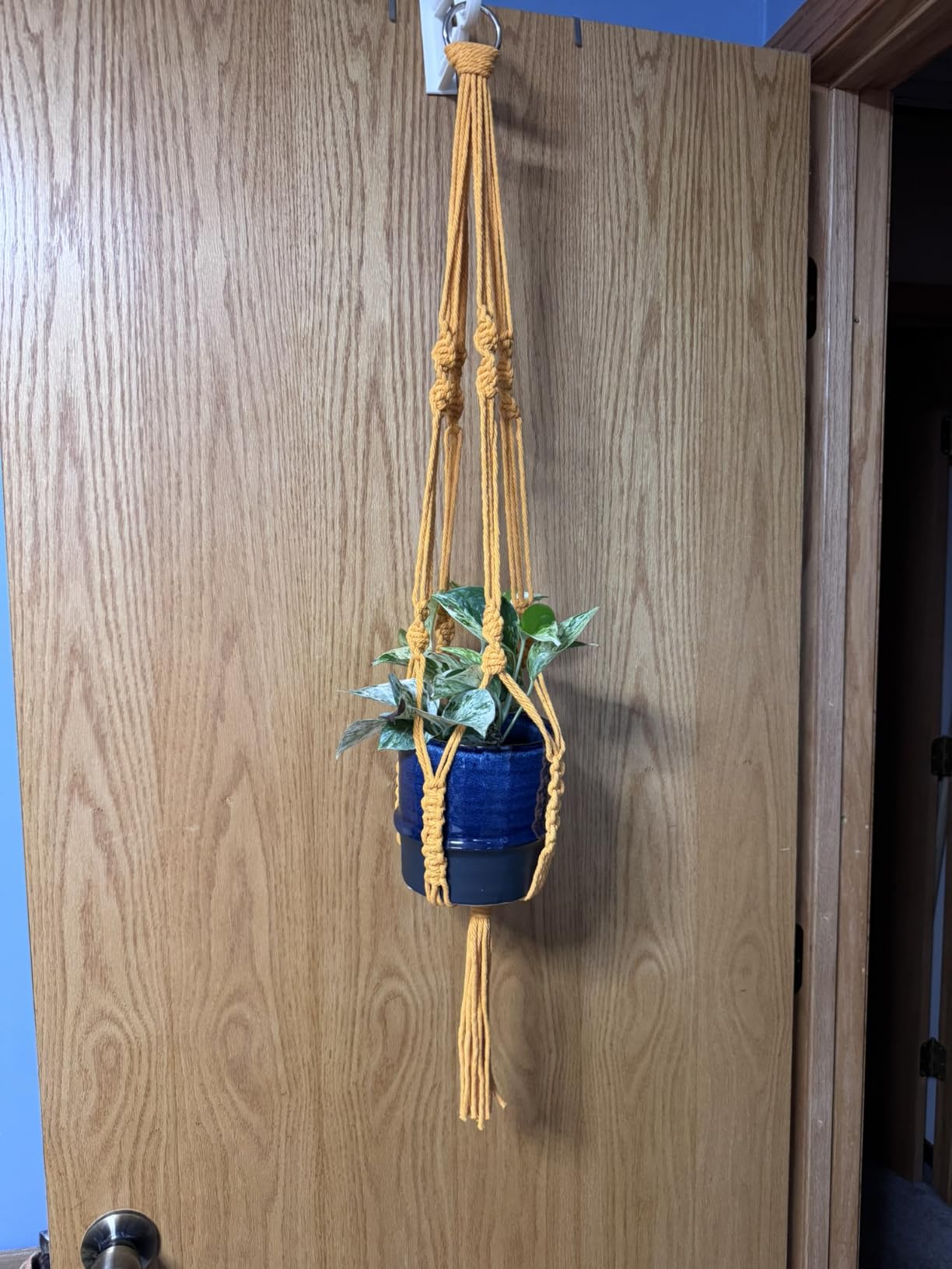 Ewparts Macrame Plant Hanger Kit with Instruction Book & Online Tutorials | Adults Craft DIY Kit With Metal Rings, 4mm Macrame Cord Green/Purple/Orange/Blue Pre-Cutted to Make 4 Macrame Plant Hangers customer photo 2
