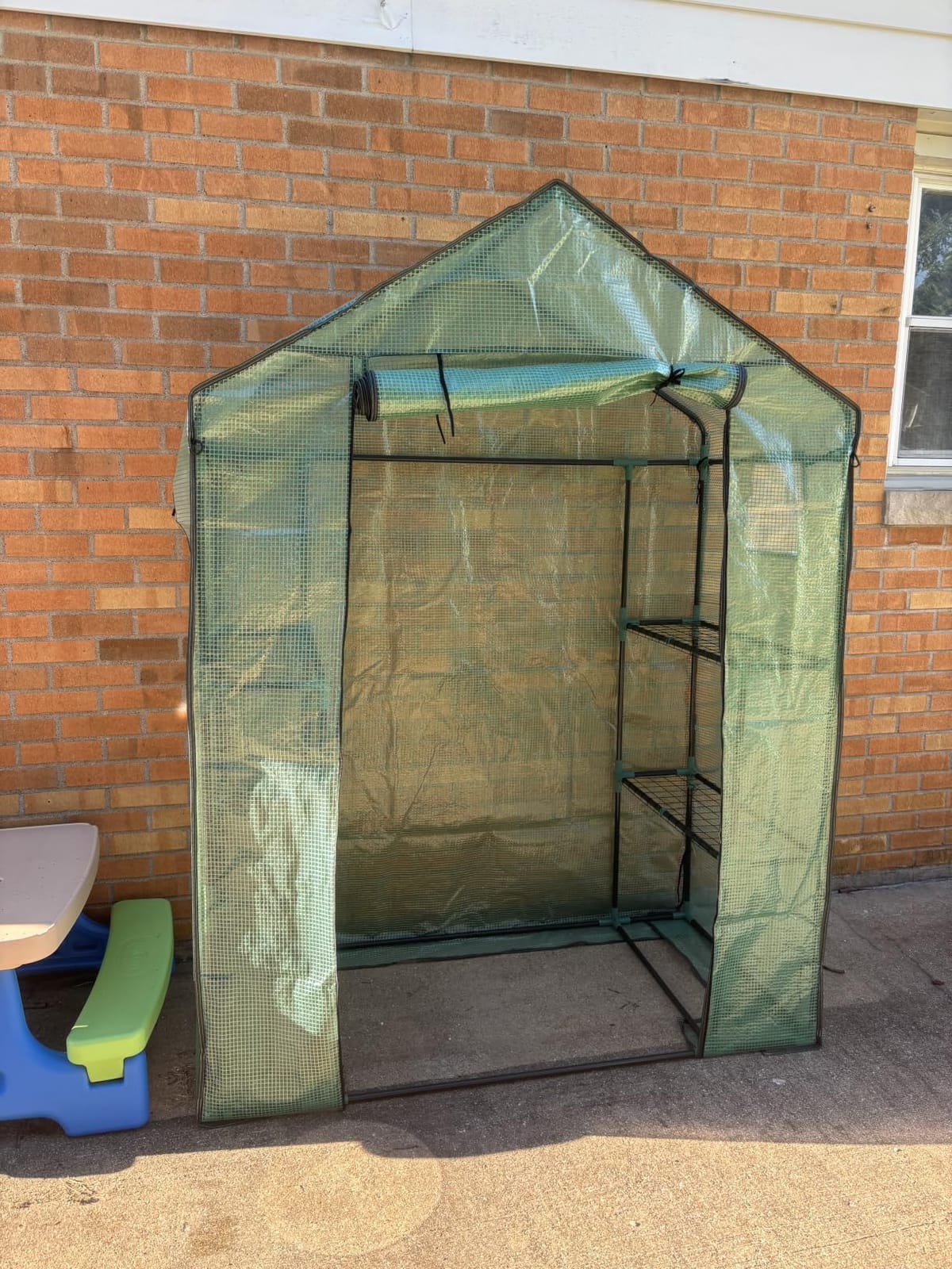 Greengro Greenhouse, 28 x 57 x 76'' Walk in Greenhouses for Outdoors Indoor | Small Plant Green House with Screen Windows, 3 Tiers 4 Shelves, Durable PE Cover, Portable for Outside Garden Patio Backyard customer photo 1