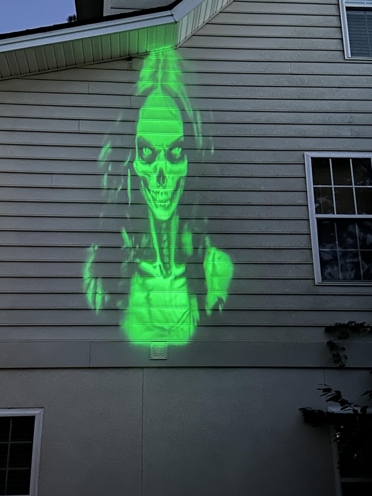 Halloween Projector Outdoor, 2026 Upgraded 3D Dynamic Skull HD Patterns, Clearer Holiday Light Ideal for Window Wall Displays and Halloween Garage Door Cover Projections customer photo 1