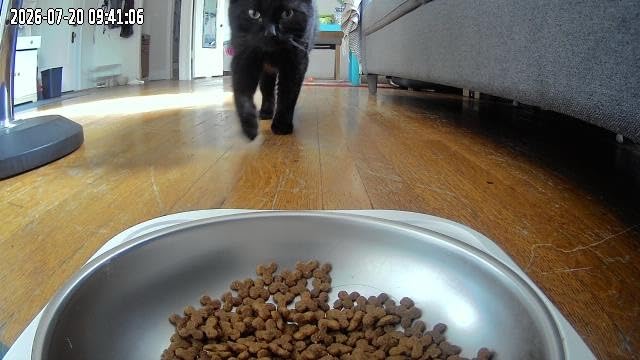 Frienhund Automatic Cat Feeder with 2K Camera: 5G WiFi Automatic Dog Feeder with Night Vision, Cat Food Dispenser with 7L Large Food Storage Container for Multiple Pet, Detachable for Easy Clean - 29 Cup customer photo 1