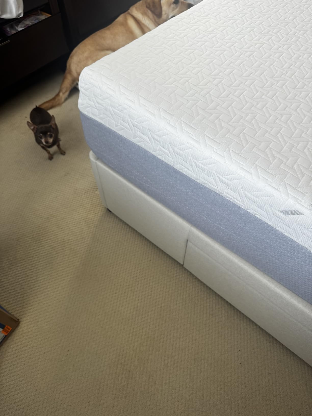 Nectar 12 Memory Foam Mattress, King- Medium Firm, 1-Year Trial | Contouring Memory Foam, Cooling Top Layer, Back Pain & Pressure Relief, Mattress in a Box, 365-Night Trial & Forever Warranty customer photo 1