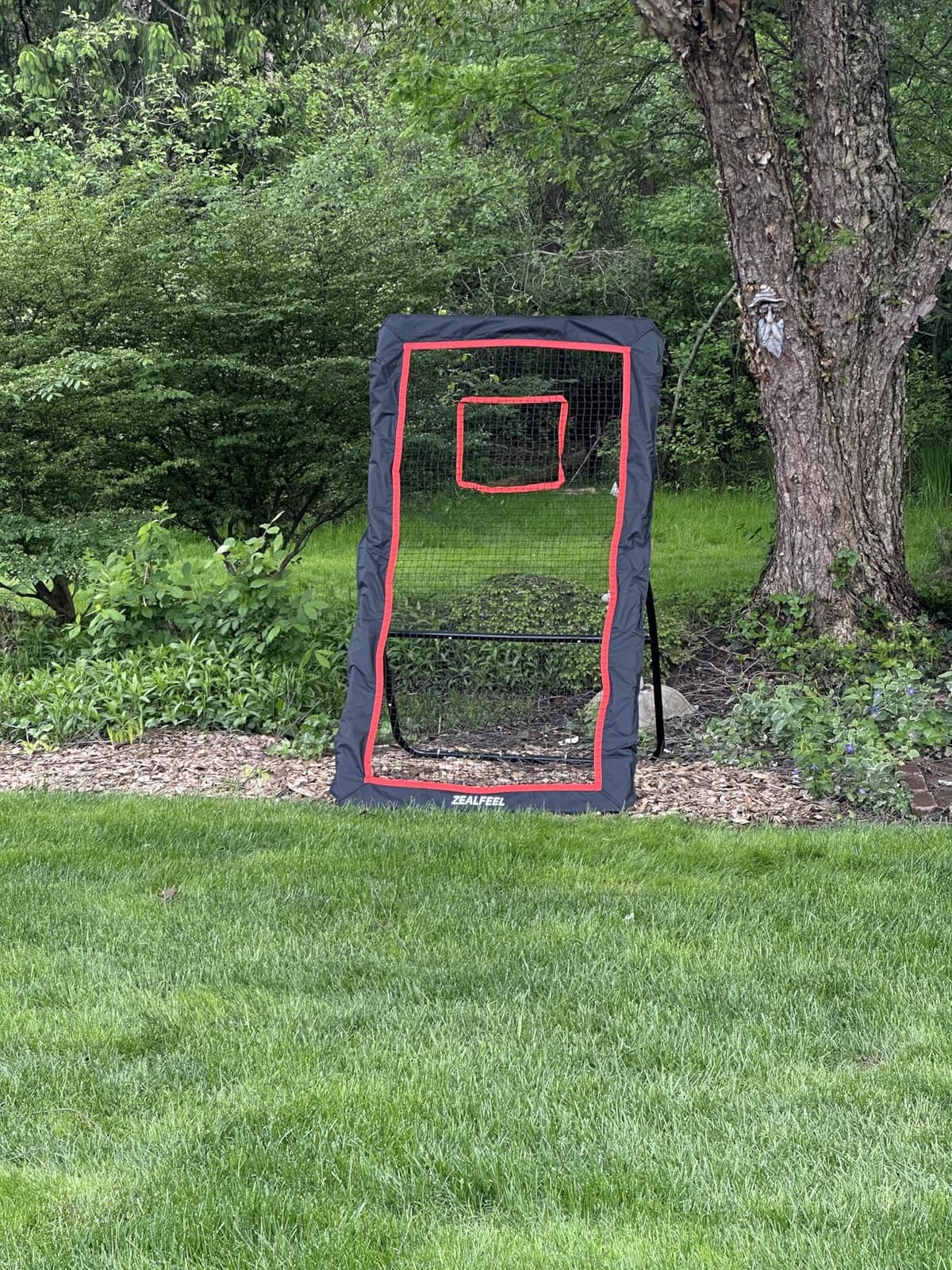 ZEALFEEL Lacrosse Rebounder with 5 Adjustable Angles, 4x6FT/4x7FT | Lacrosse Rebound Net with Target Strip & Anti-rust Steel Frame, Perfect for Lax Baseball Volleyball & Soccer Training customer photo 2