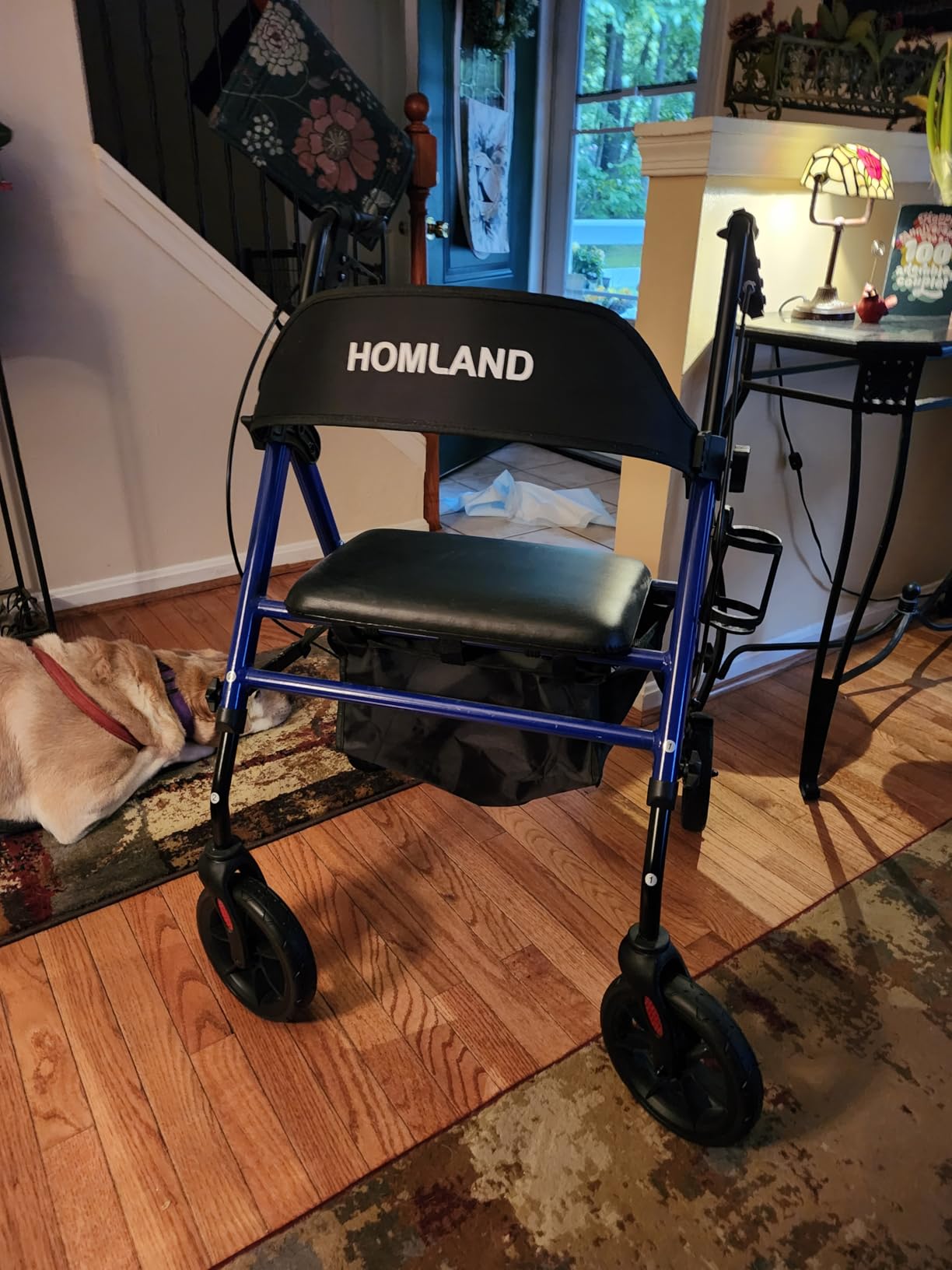 HOMLAND Foldable Rollator Walkers for Seniors with Seat, 17 lb Lightweight customer photo 1