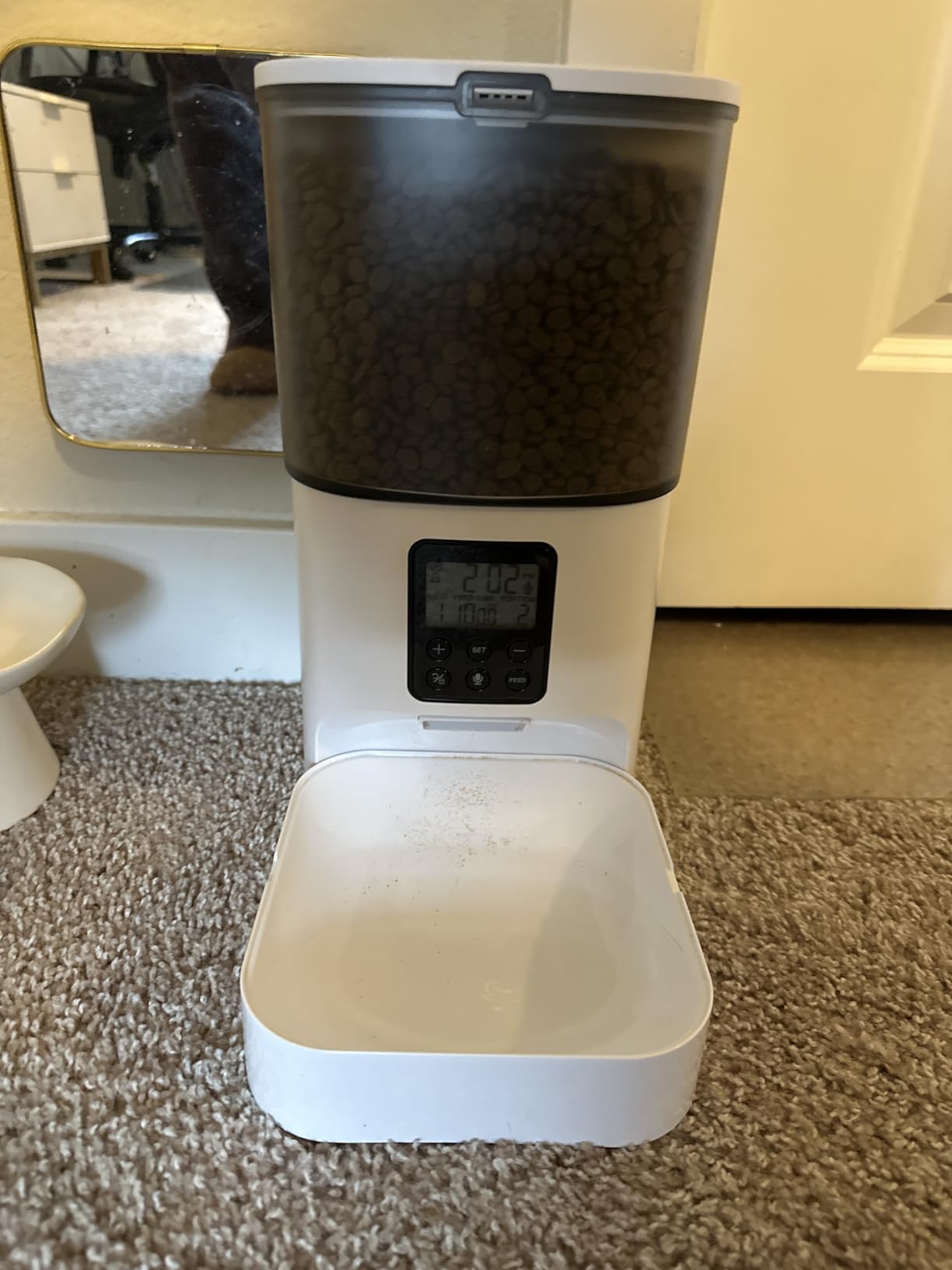 ANDOLL HOME Automatic Cat Feeder, 4L Cat Food Dispenser with 10s Voice Recorder, Pet Feeder up to 8 Meals per Day, Timed Dog Feeder with Dry Food Sealed Ring customer photo 1