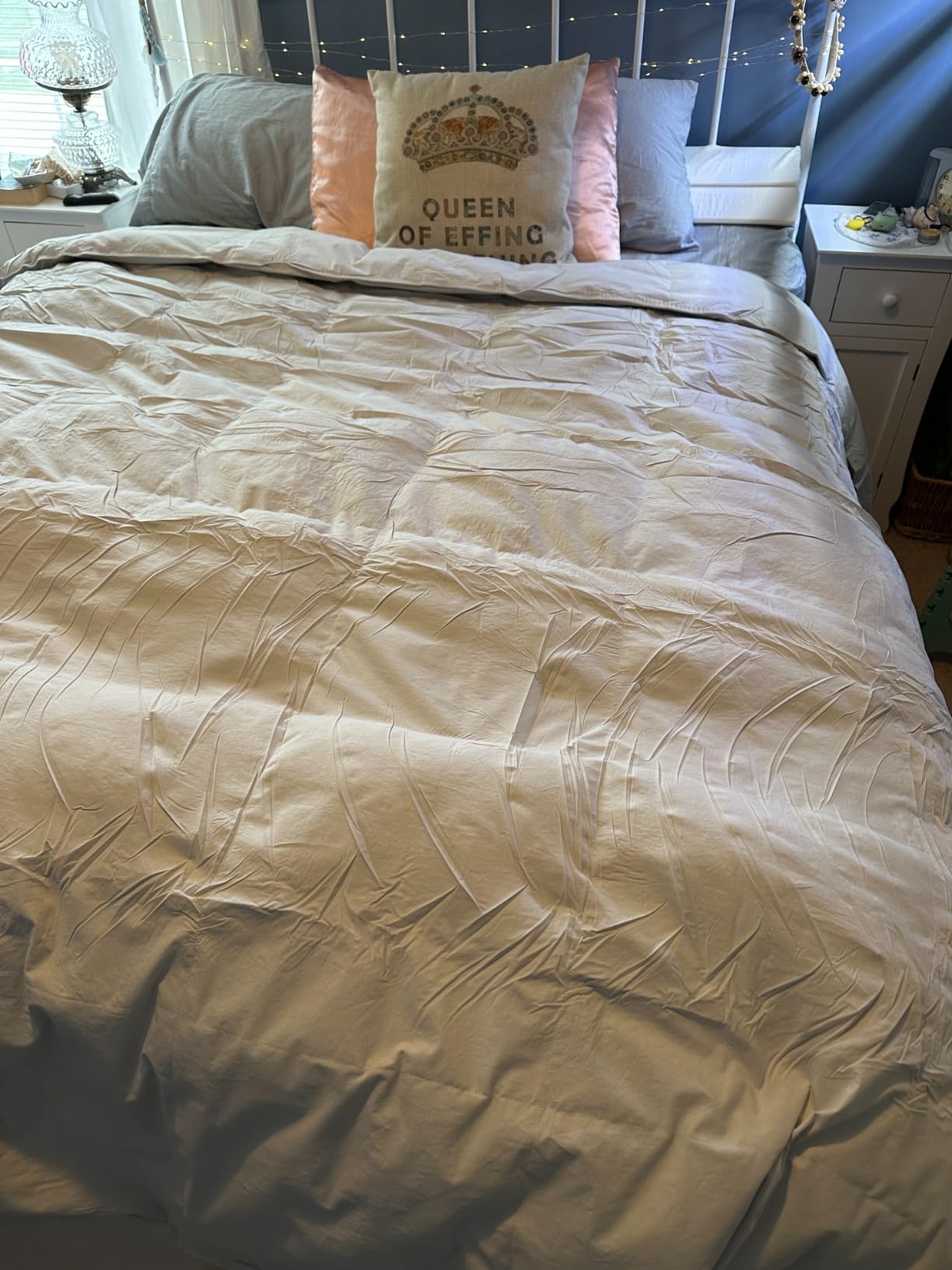 Grey Goose Feather Down Comforter Queen Size, Premium All Season Duvet Insert, 750+ Fill Power 1200TC Cotton Blend Fabric Hotel Style Comforter, 42 Oz Lightweight (90x90, Dark Grey) customer photo 1