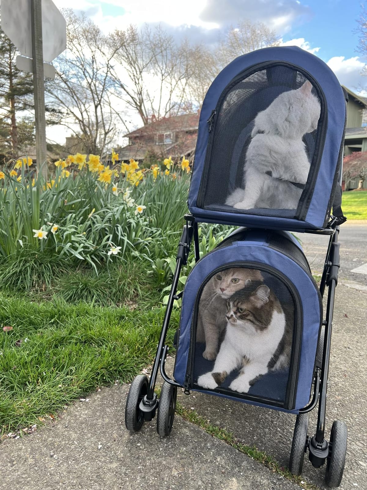 Giantex Double Pet Stroller with 2 Detachable Carrier Bags, Safety Belt, 4 Lockable Wheels, Folding Cat & Dog Stroller for Small Medium Pets, Cats Dogs Puppy Travel Strolling Cart (Pink) customer photo 2