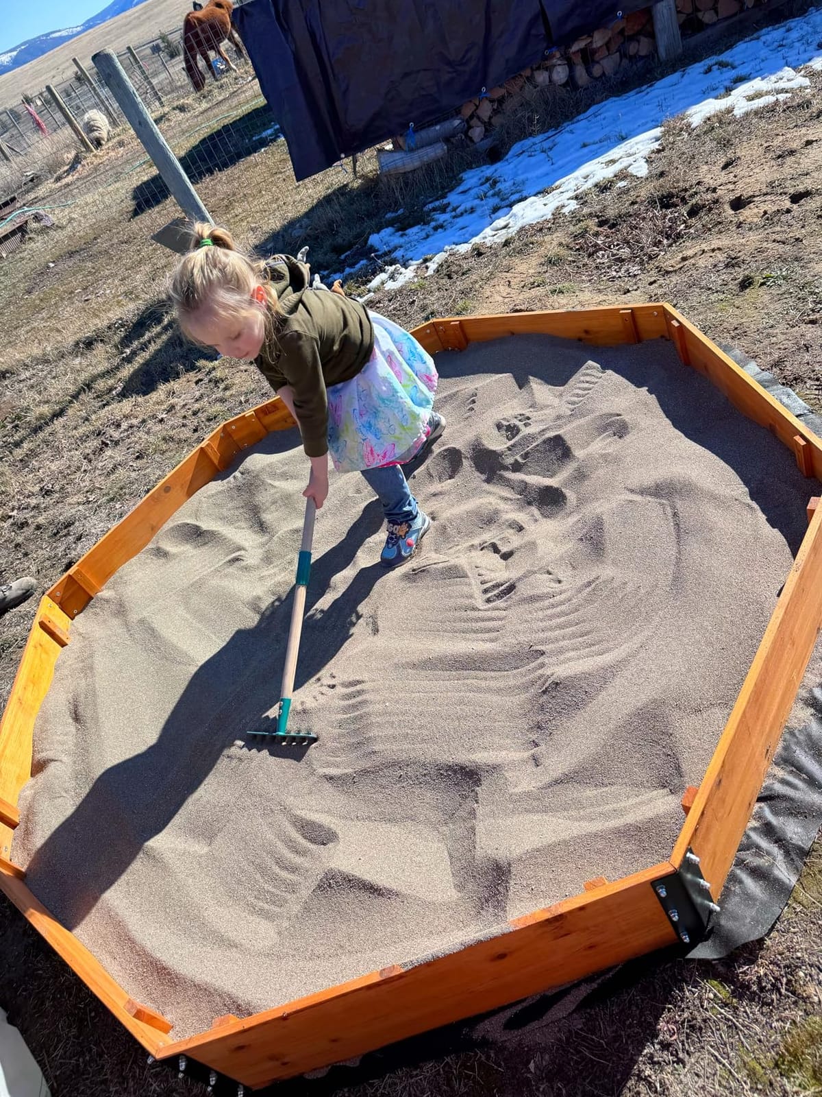 FUNTOK 85''x85''x9'' Octagon Sandbox for Kids, Large Natural Wooden Sandpit with 4 Benches, Bottom Liner, PVC Cover, 198 Lbs Weight Capacity, Sand Box for Backyard, Patio, Outdoor Play customer photo 2