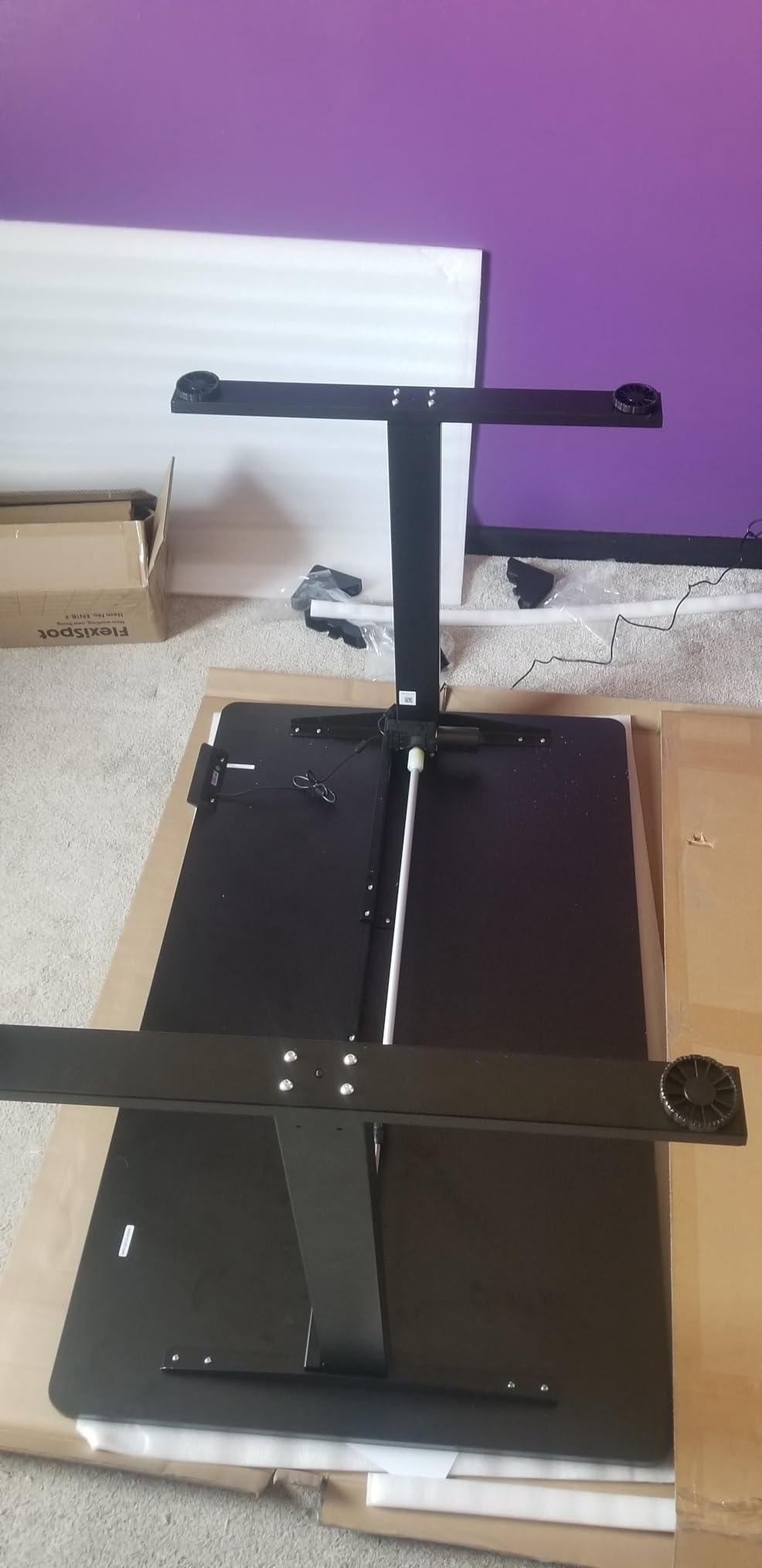FLEXISPOT EN1 One-Piece Standing Desk, Electric Adjustable with 4 Memory Presets, 176 LBS Capacity, Stable & Quiet, Seamless Desktop for Home Office & Dual Monitors, 60