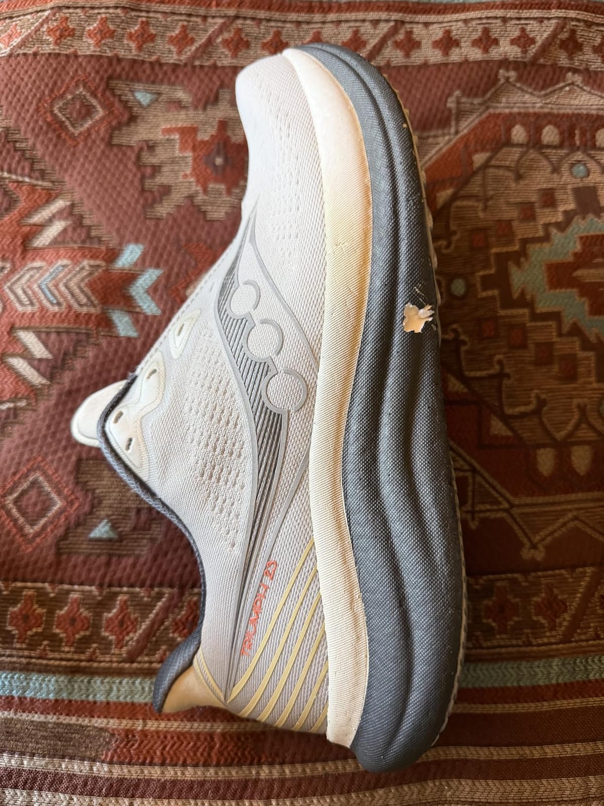 Saucony Triumph 23 Running Shoe customer photo 1