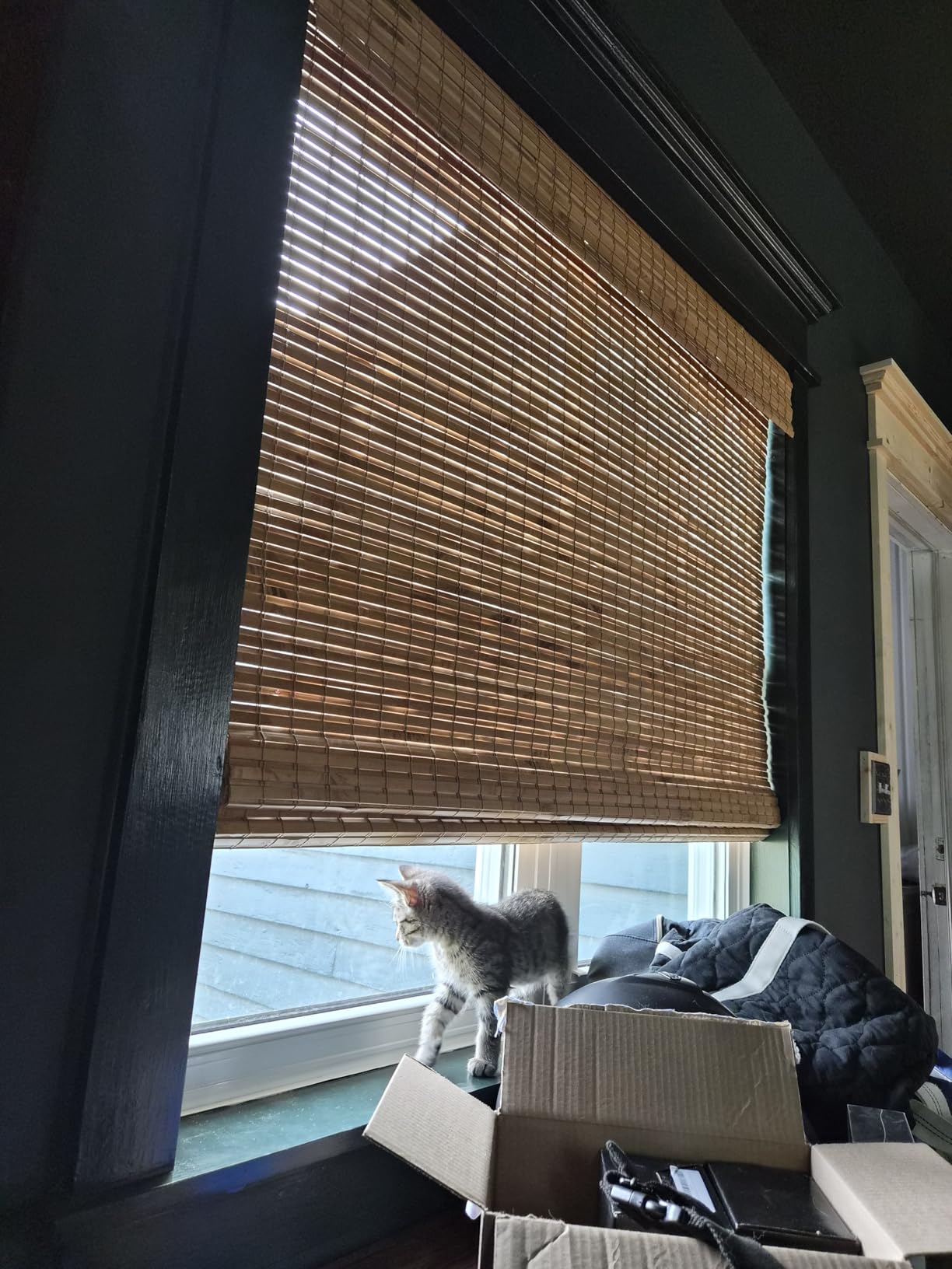 Cordless Woven Wood Roman Shades, Bamboo Shades Sizes 20 to 72 Wide and 24 to 72 High, Bamboo Mesh Natural customer photo 1