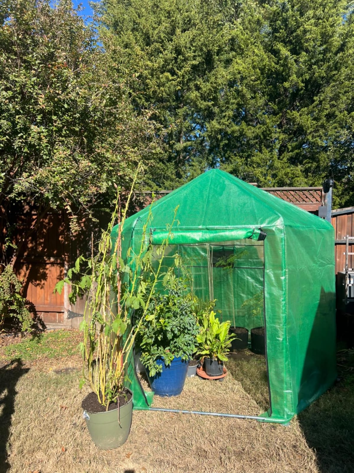 MU 7x7x7.6 FT Greenhouses for Outdoors, Heavy-Duty Green House for Outside, Walk in Winter Greenhouse with 180g Double Layer PE Cover, Ground Stakes, Great for Garden/Patio/Backyard customer photo 2