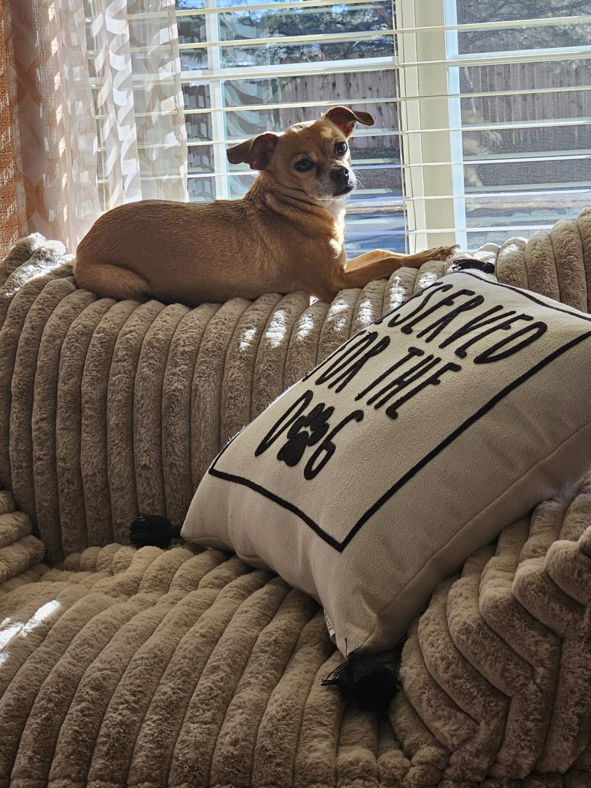 Giant Plush Bean Bag Chair for Adults with Armrests - Oversized Comfy Beige Beanbag Lounge Lazy Floor Sofa Accent Chair for Living Room, Bedroom & Dorm, Cozy Fluffy Single Cloud Mini Couch customer photo 2