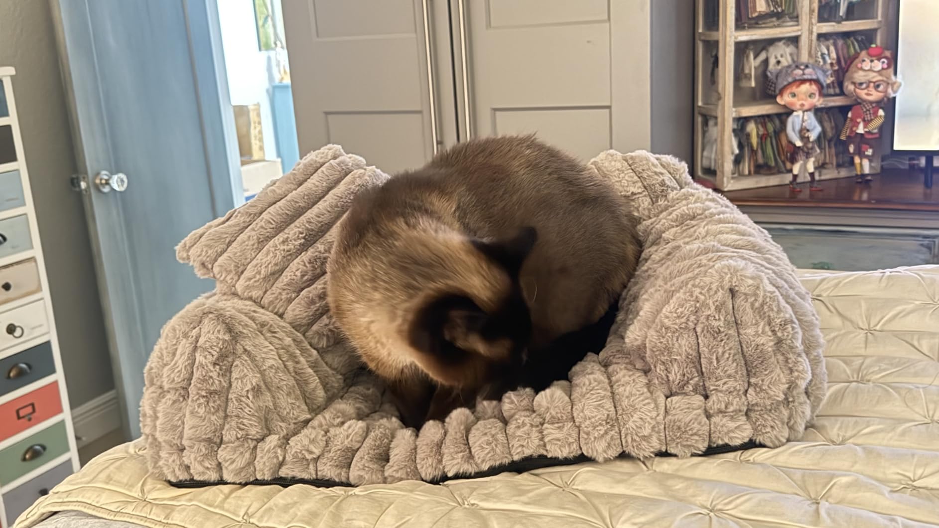 Cute Cat Couch Bed for Indoor Cats, Dog Beds for Small Dogs Couch, S, Grey | Dog Couch Bed with Removable Washable Cover customer photo 1