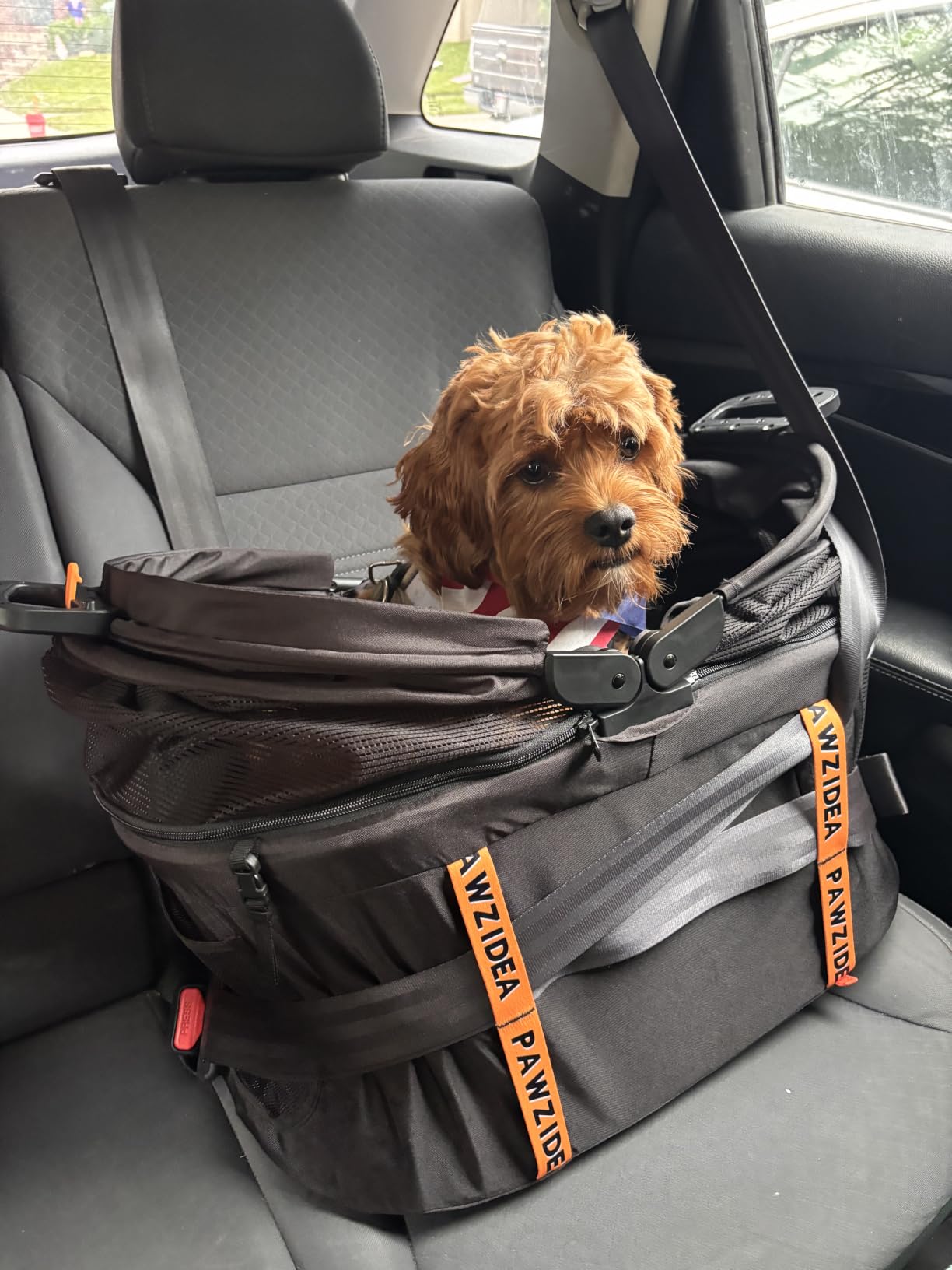PAWZIDEA Portable Dog Crate for Car Travel, Medium & Large Dogs Up to 80lbs | Soft-Sided Dog Car Kennel for Backseat, Secures Seatbelt & Headrest Strap, Collapsible Enclosed Car Seat Carrier, Chew-Proof customer photo 1