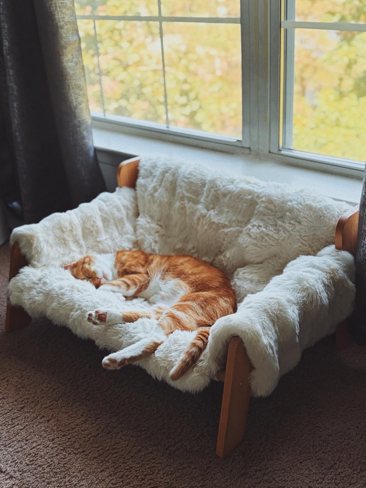 CHEERHOME PETS Elevated Cat Couch Bed Wooden Raised Kitty Sofa Lounge Chair | Washable Fluffy Cover Wooden Elevated Pet Furniture for Indoor Cats and Puppy (White) customer photo 1